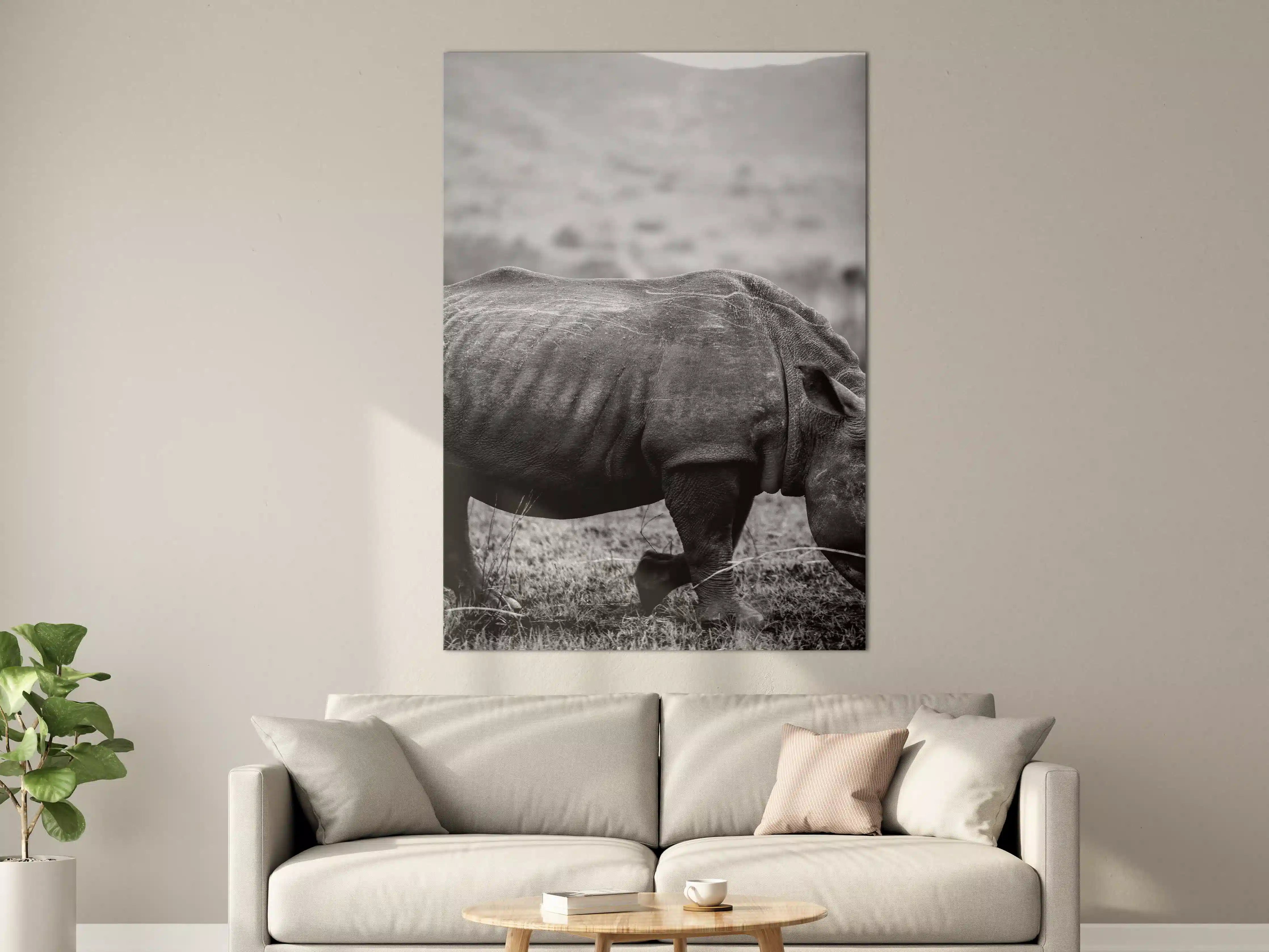 Große Wandbilder - Nashorn - schwarz-weiß