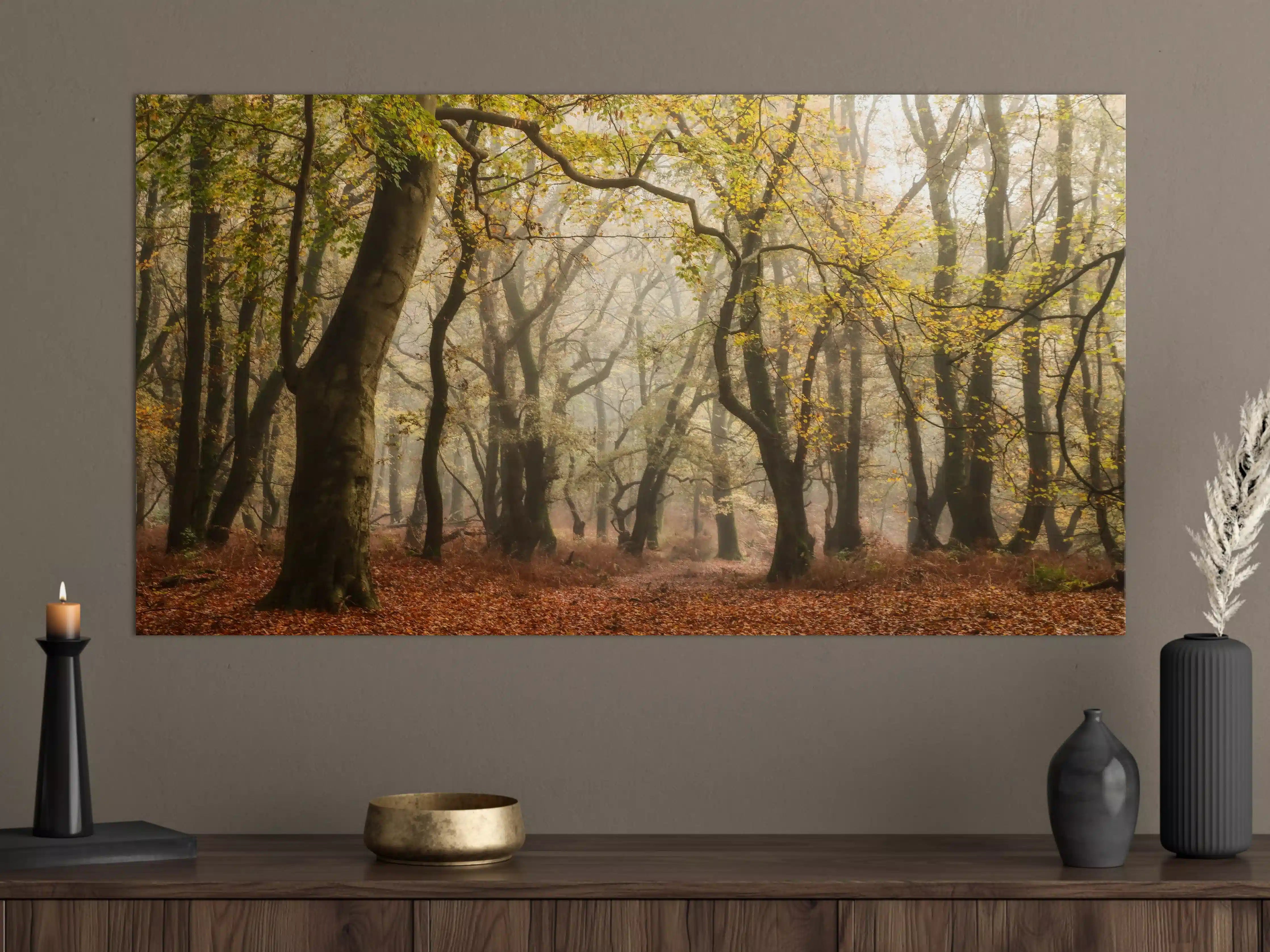 Große Wandbilder - Nebelgrauer Wald im Herbst