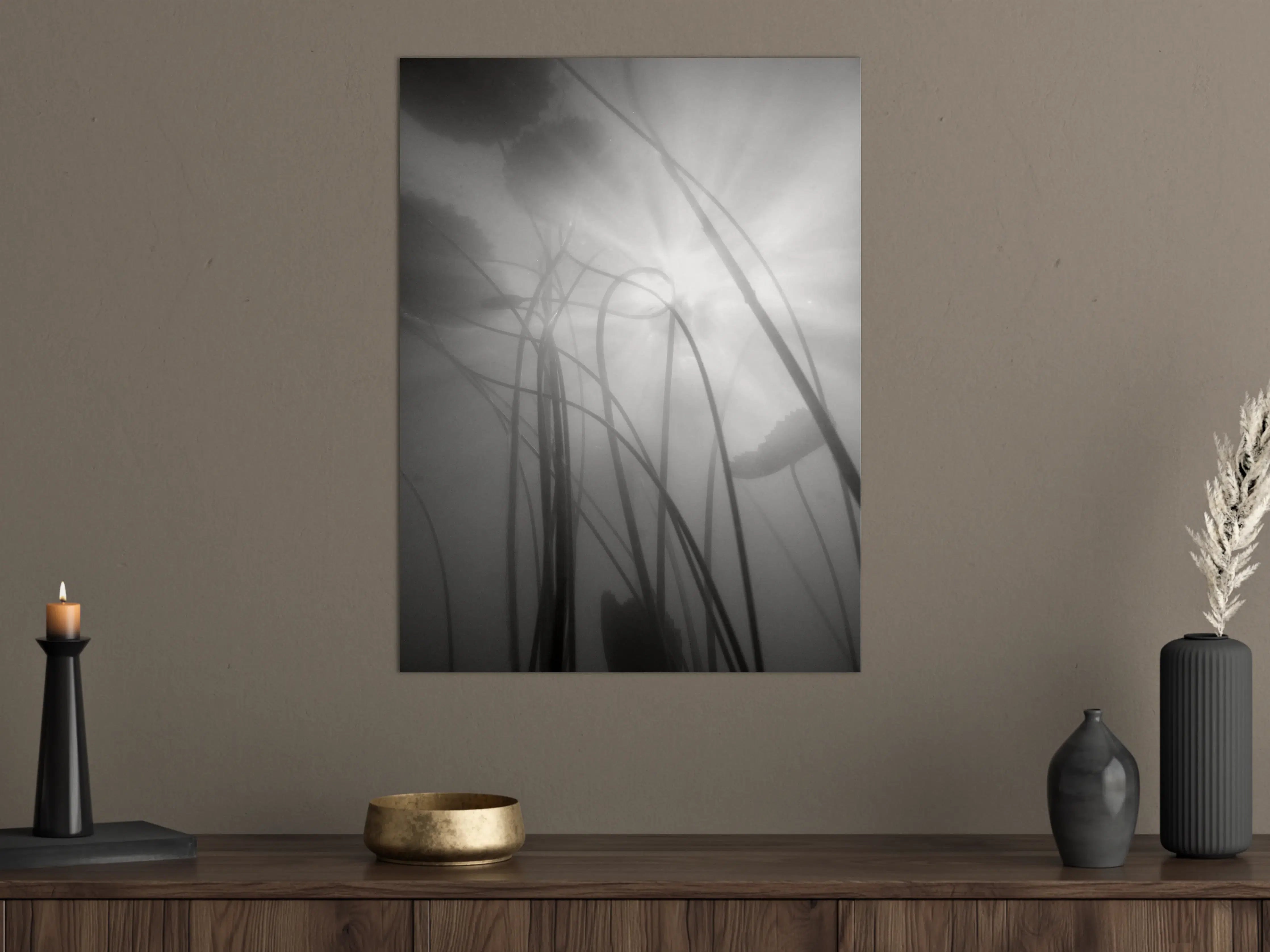 Große Wandbilder - Nebelhafte Wasserlilien Monochrom