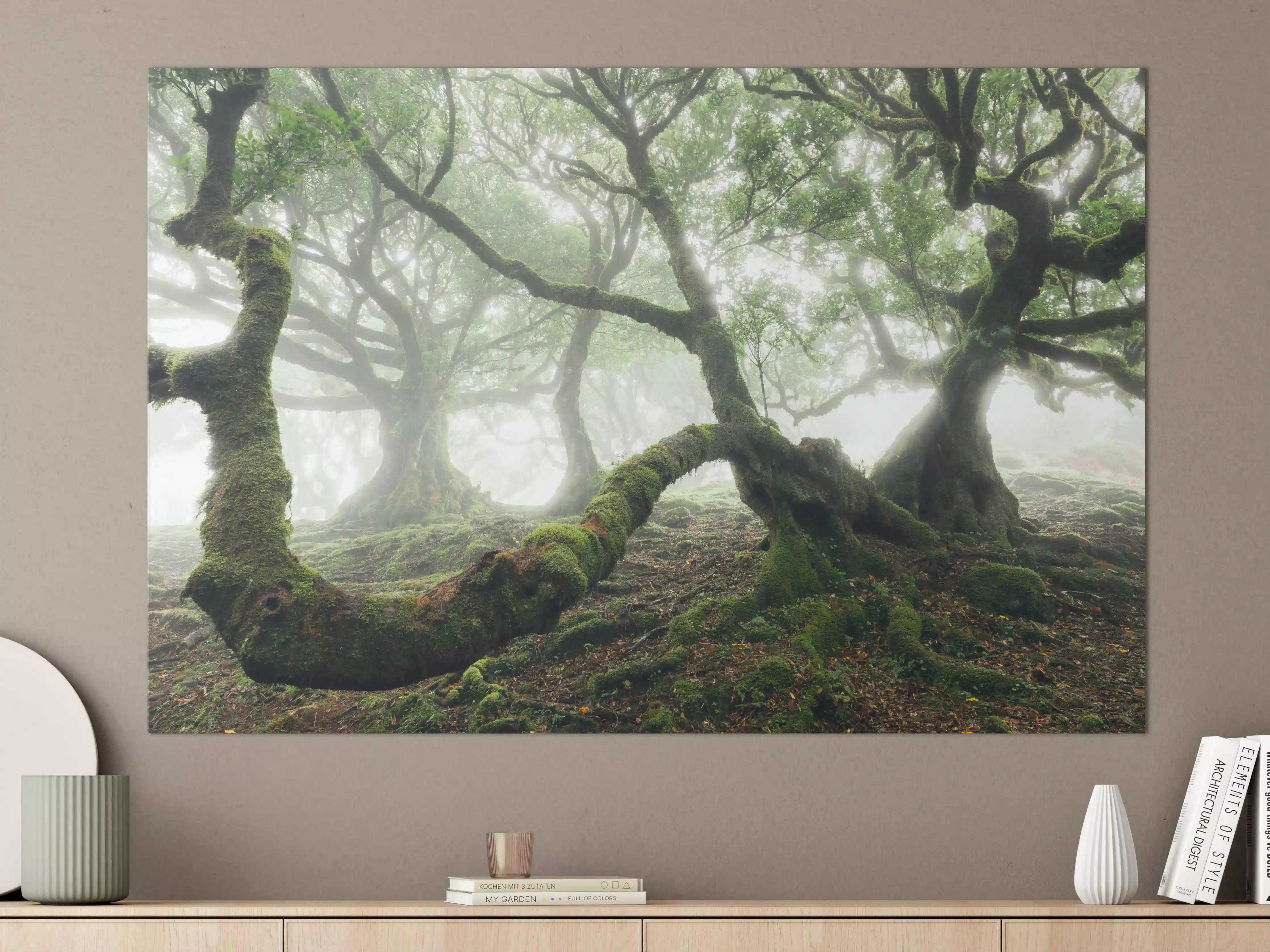 Große Wandbilder - Nebeliger, mystischer Wald
