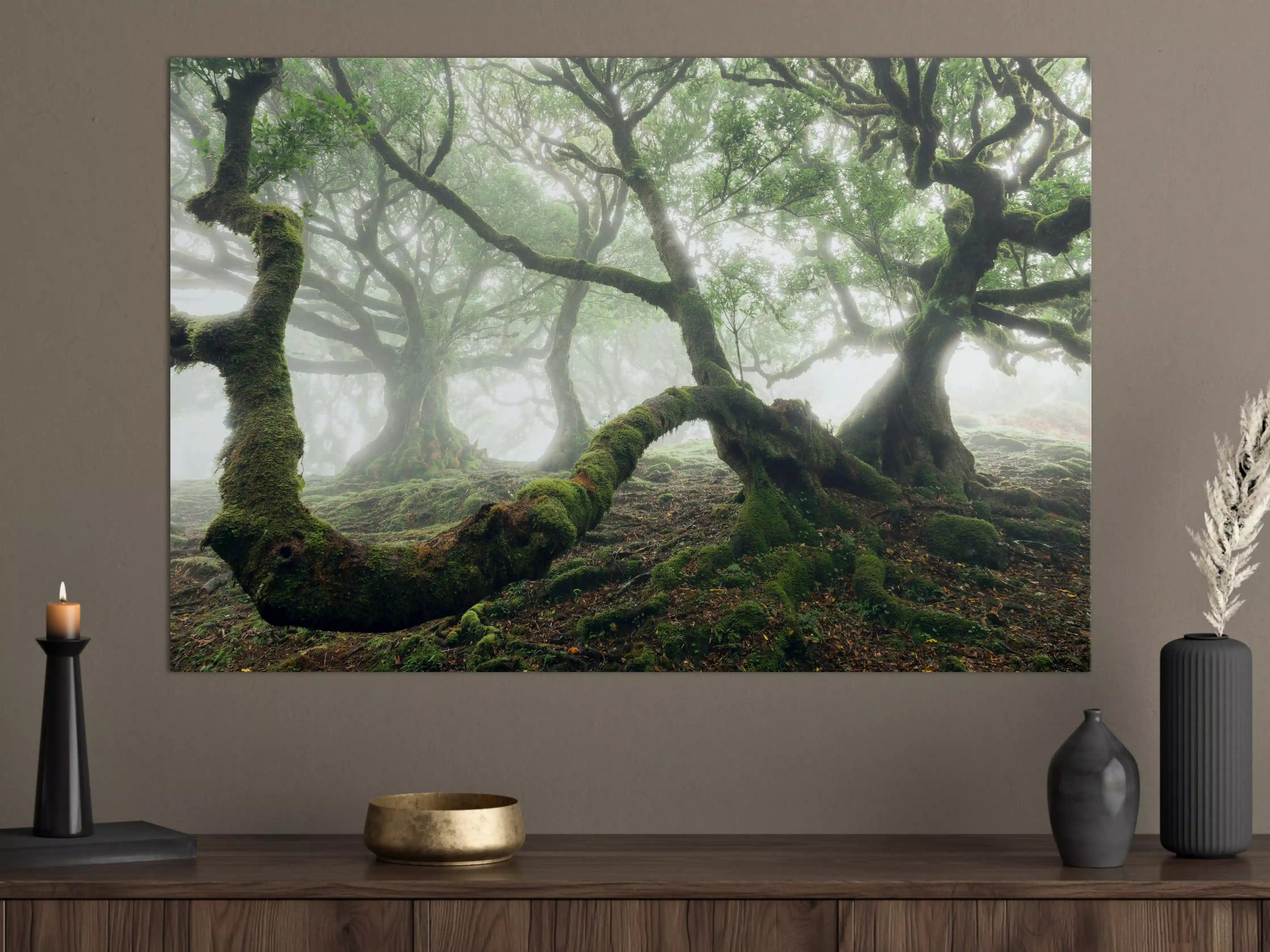 Große Wandbilder - Nebeliger, mystischer Wald