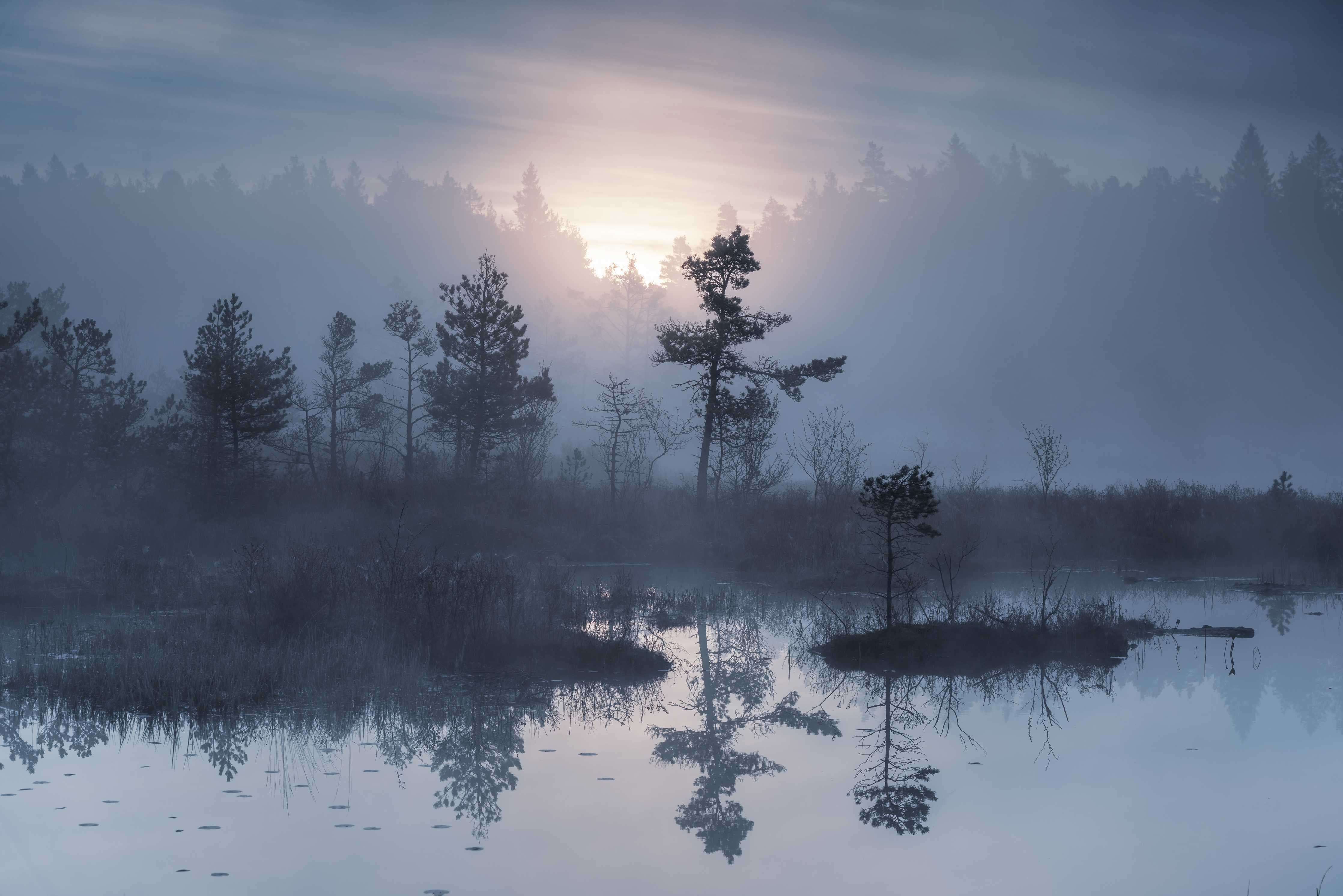 Große Wandbilder-Nebellandschaft im Morgengrauen