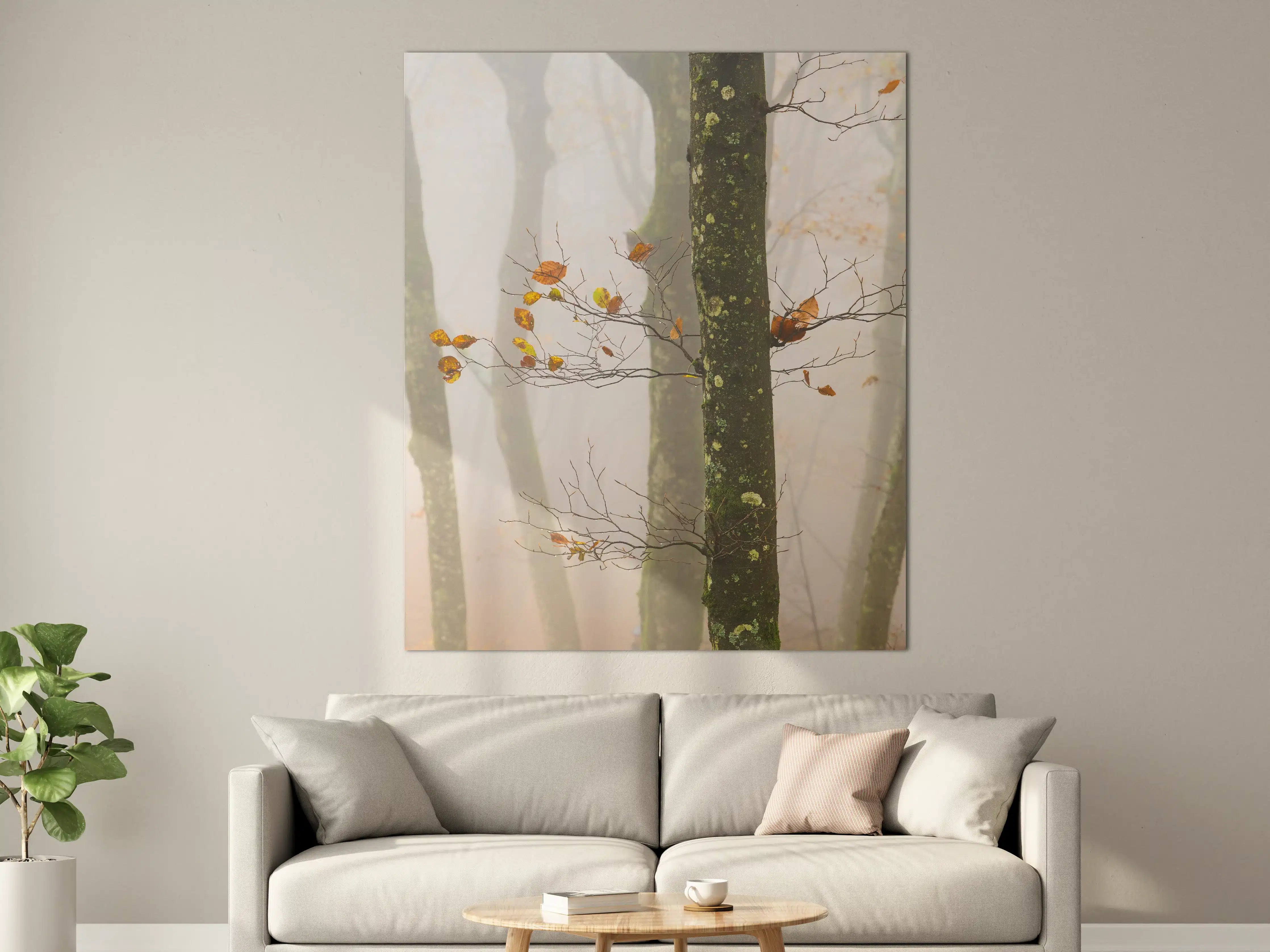 Große Wandbilder - Nebelwald mit herbstlichen Blättern