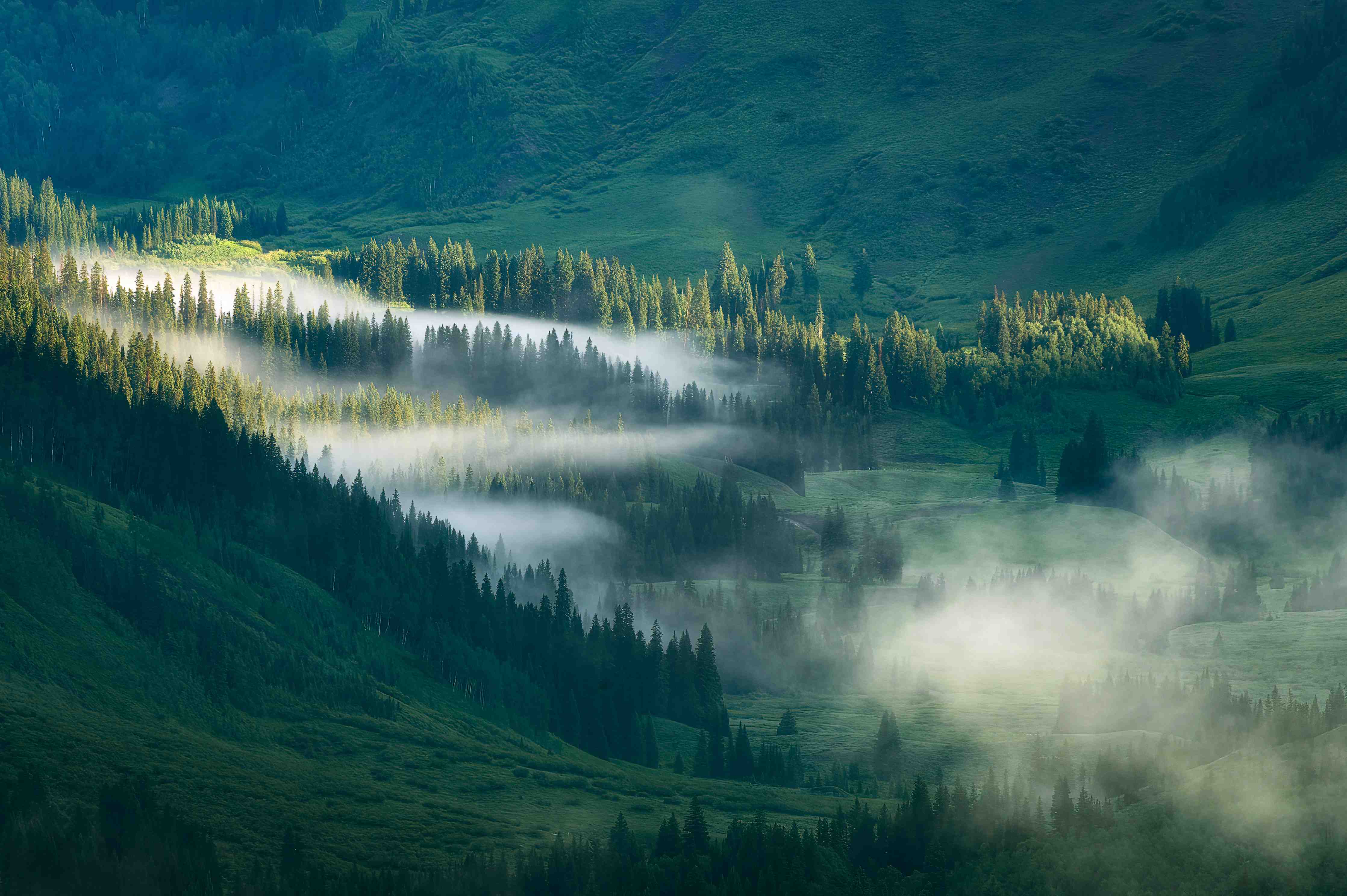 Große Wandbilder-Neblige Berglandschaft im Morgenlicht