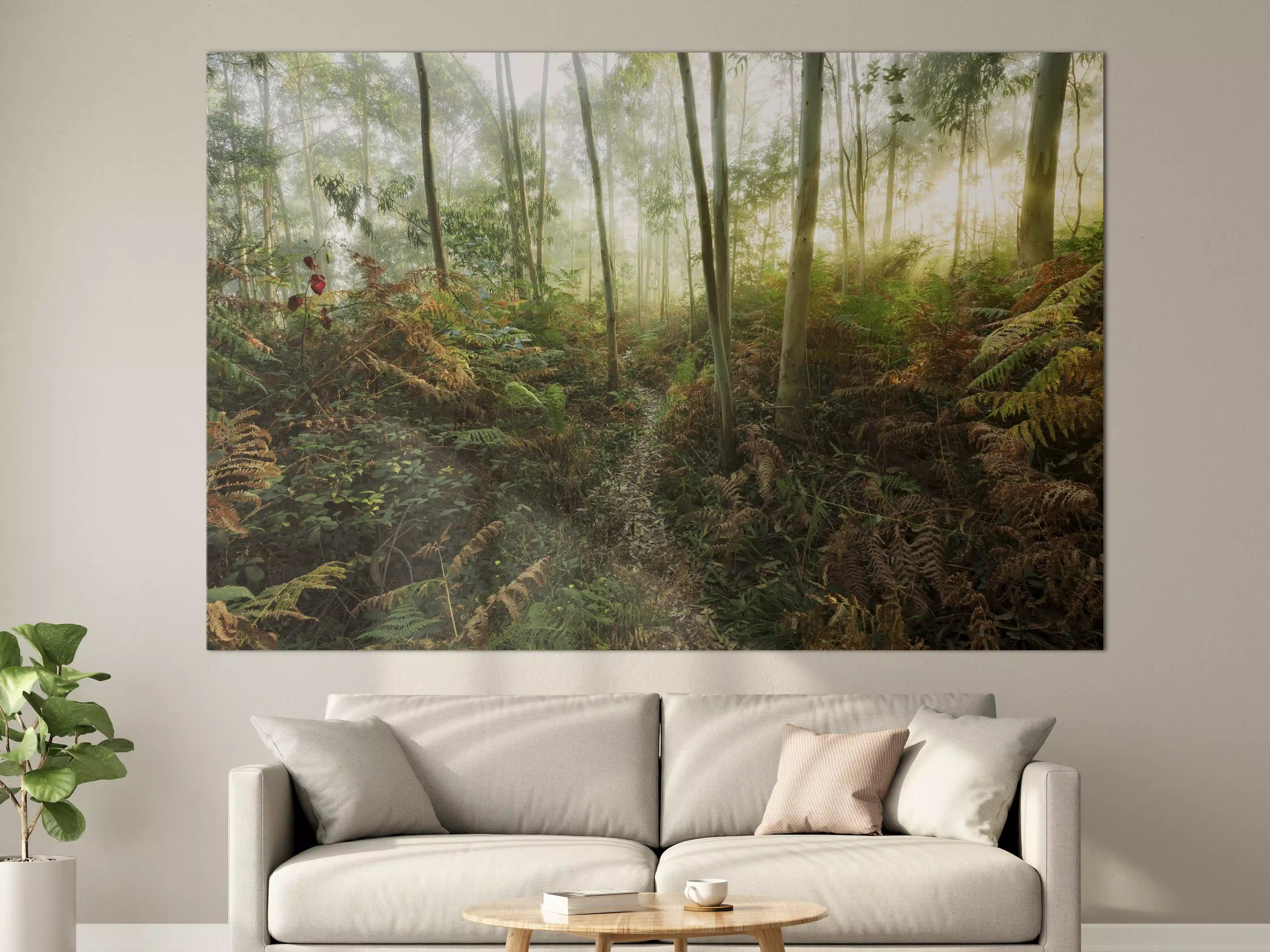 Große Wandbilder - Nebliger Wald - Spanien