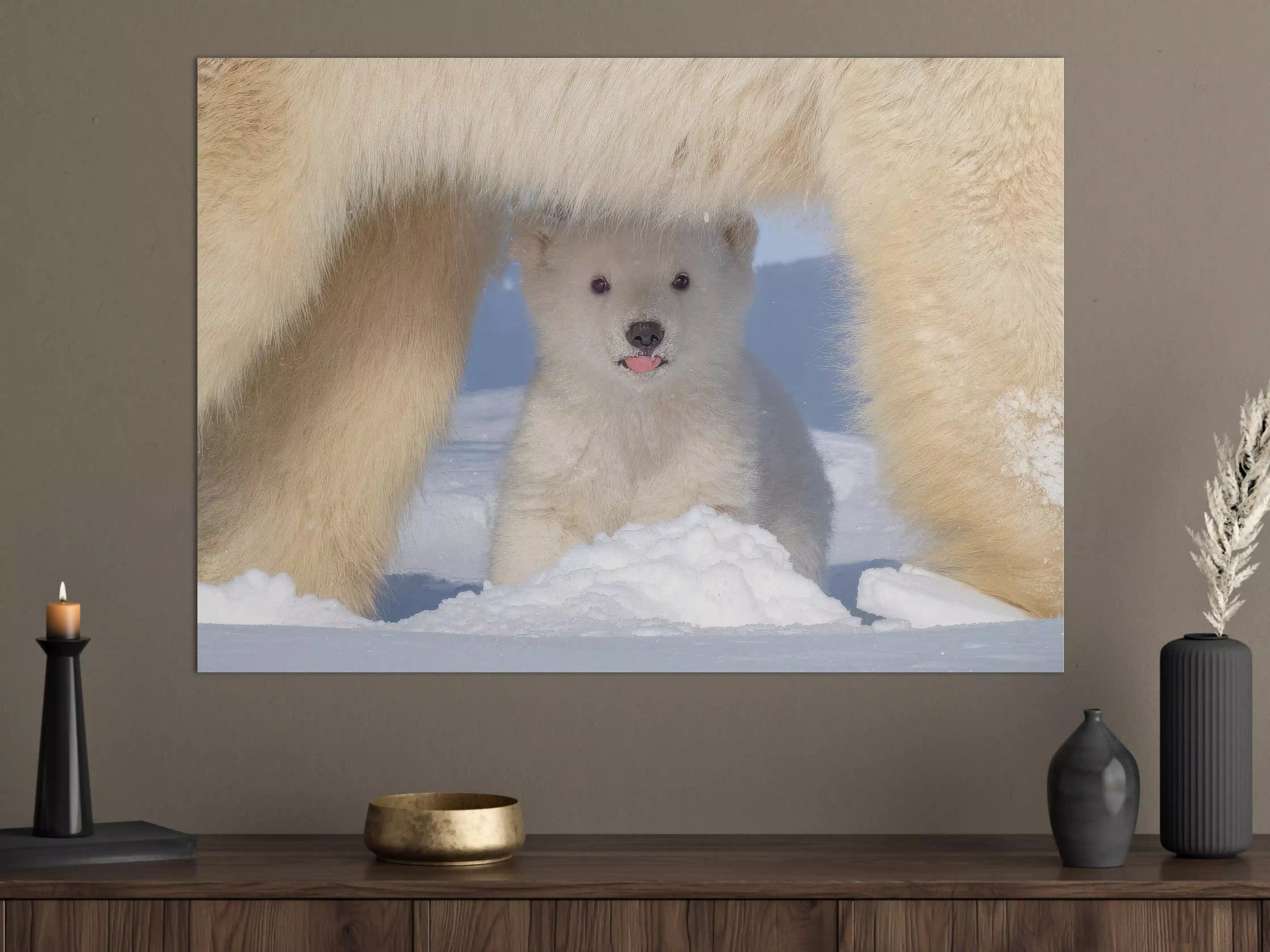 Große Wandbilder - Niedliches Jungtier - Eisbär