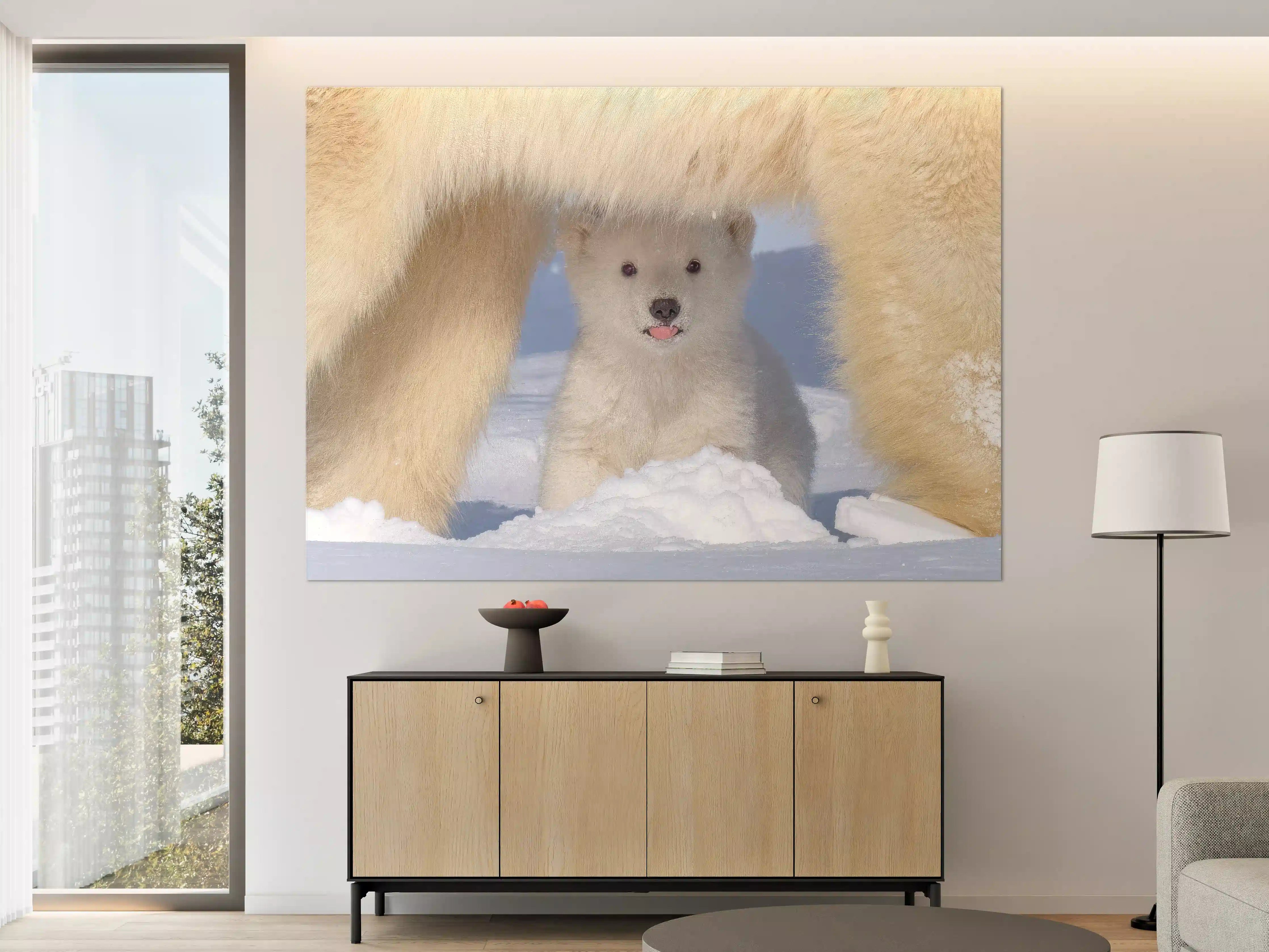 Große Wandbilder - Niedliches Jungtier - Eisbär