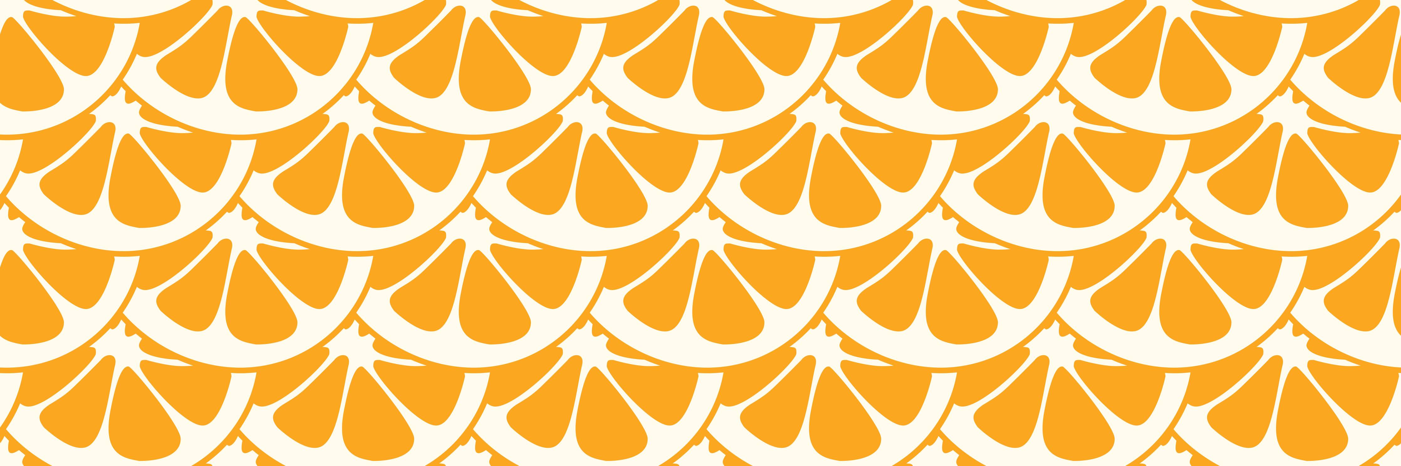 Große Wandbilder-Orange Zitrus-Küchenrückwand