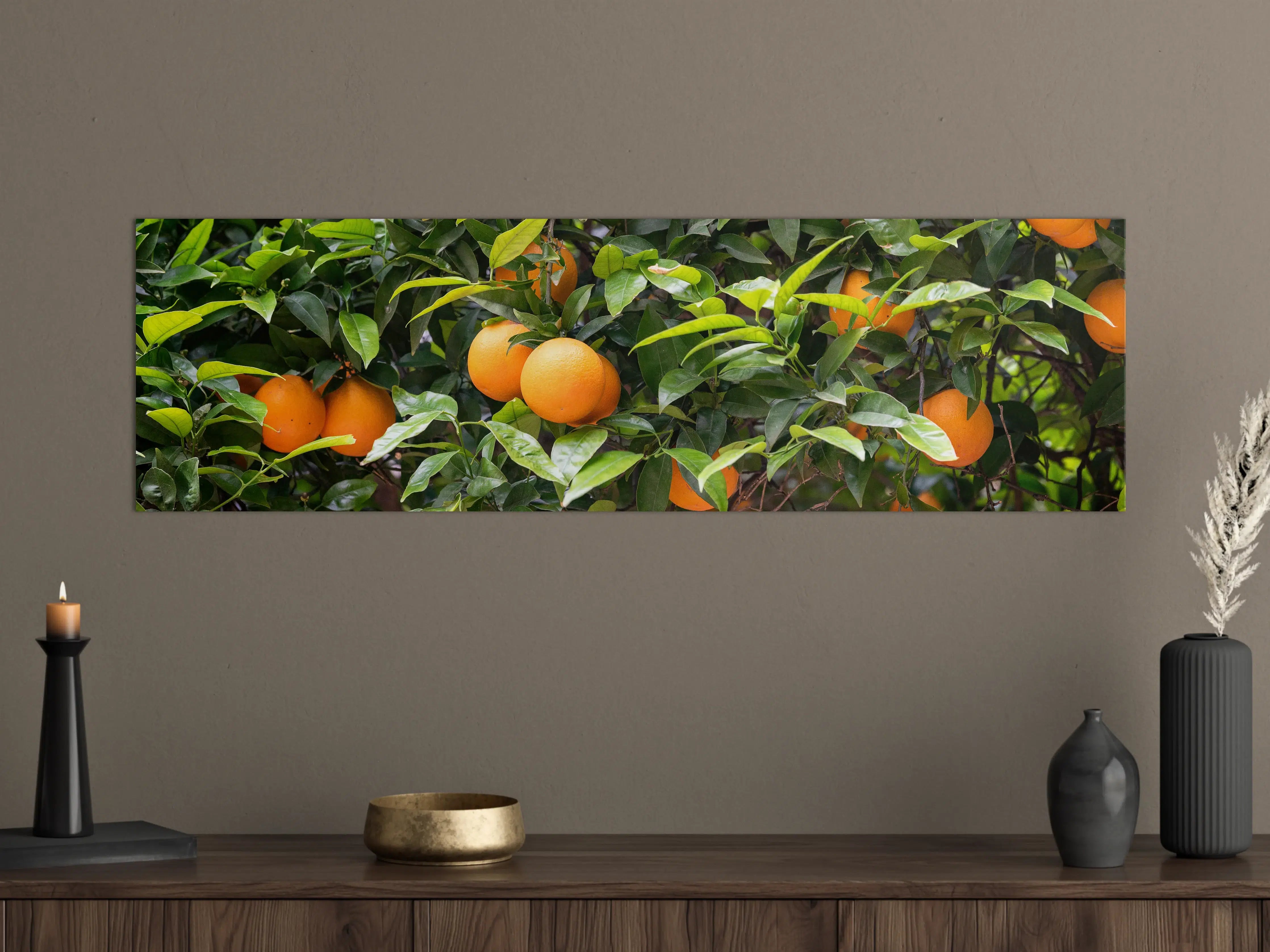Große Wandbilder - Orangen im Zwinskygarten