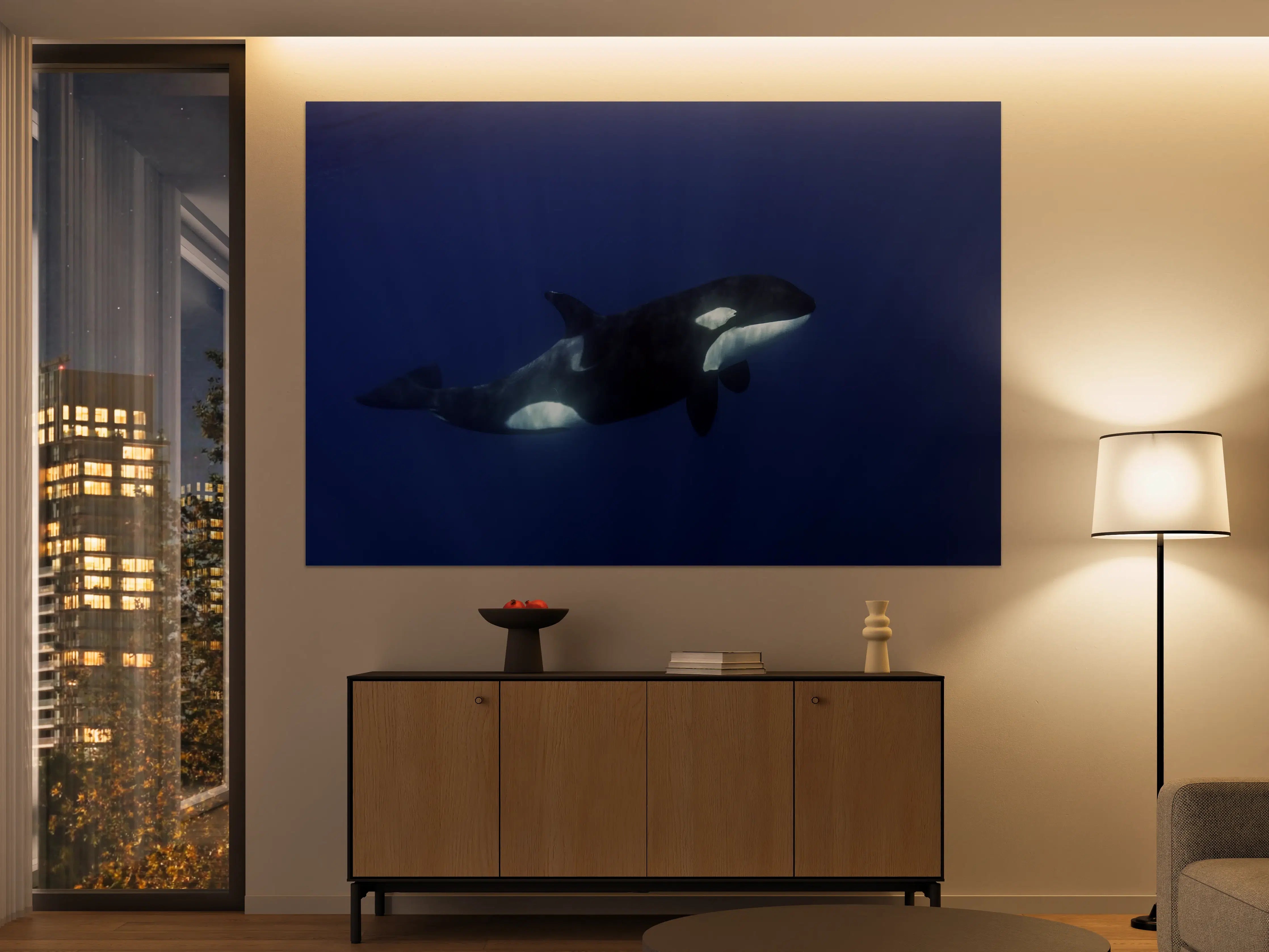 Große Wandbilder - Orca im blauen Pazifik