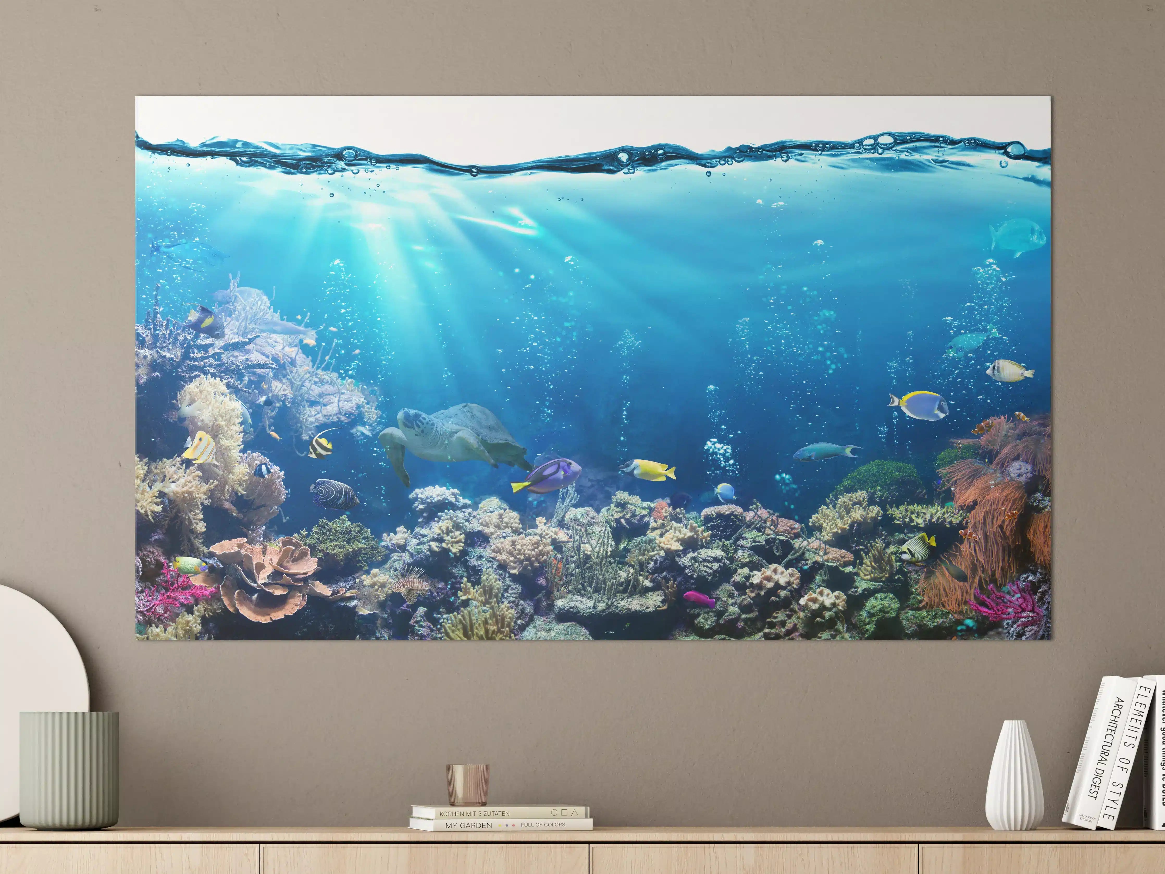 Große Wandbilder - Ozeantiere - Unterwasser