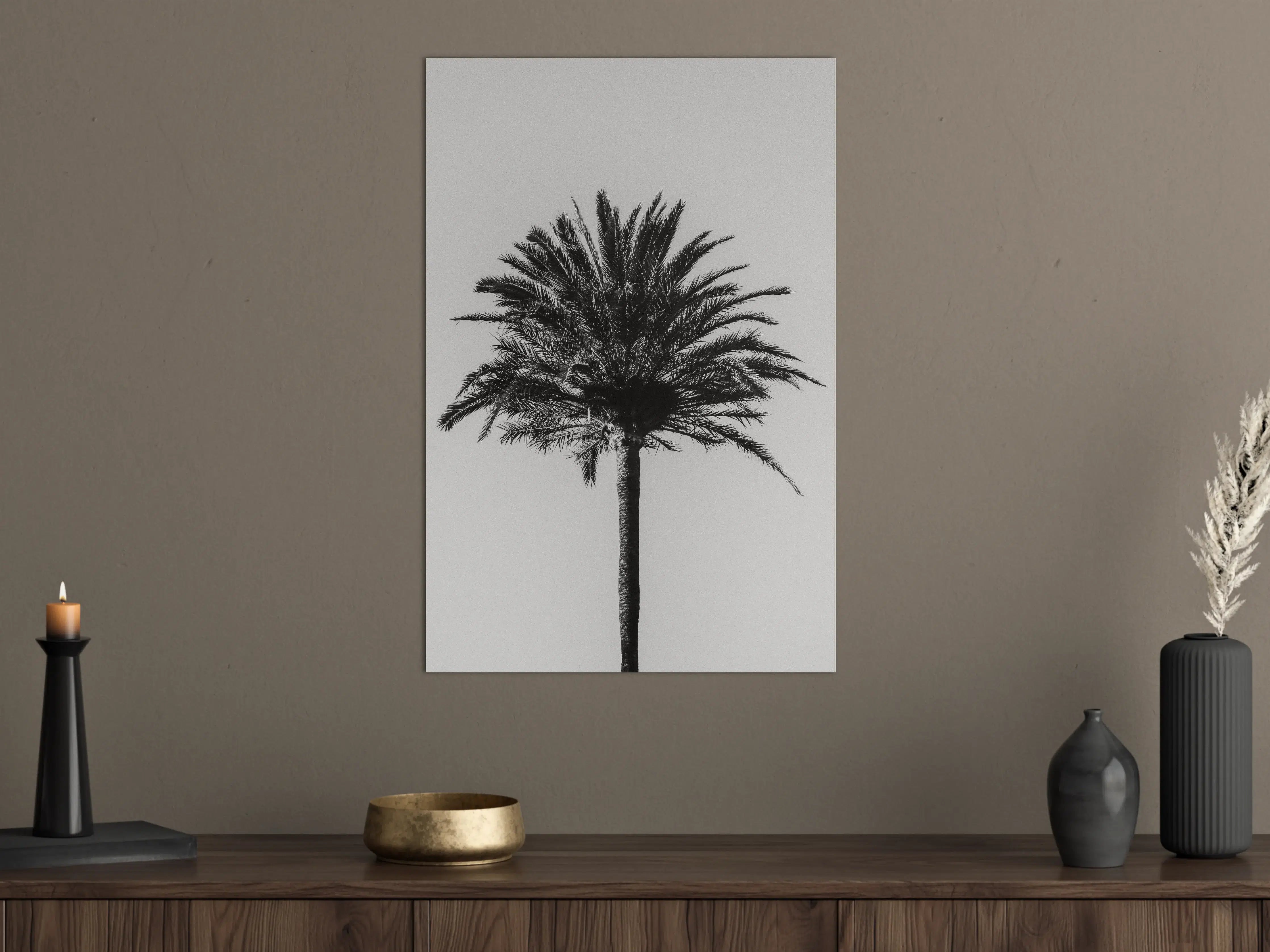 Große Wandbilder - Palme - Schwarz-weiß