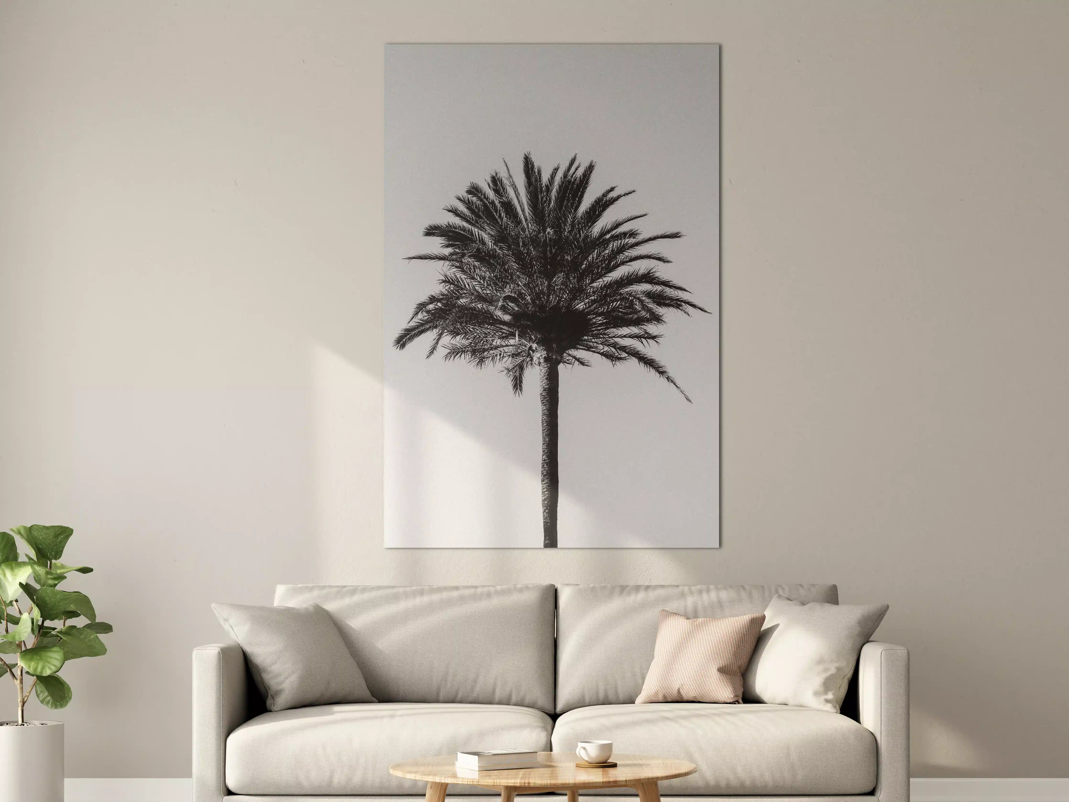 Große Wandbilder - Palme - Schwarz-weiß