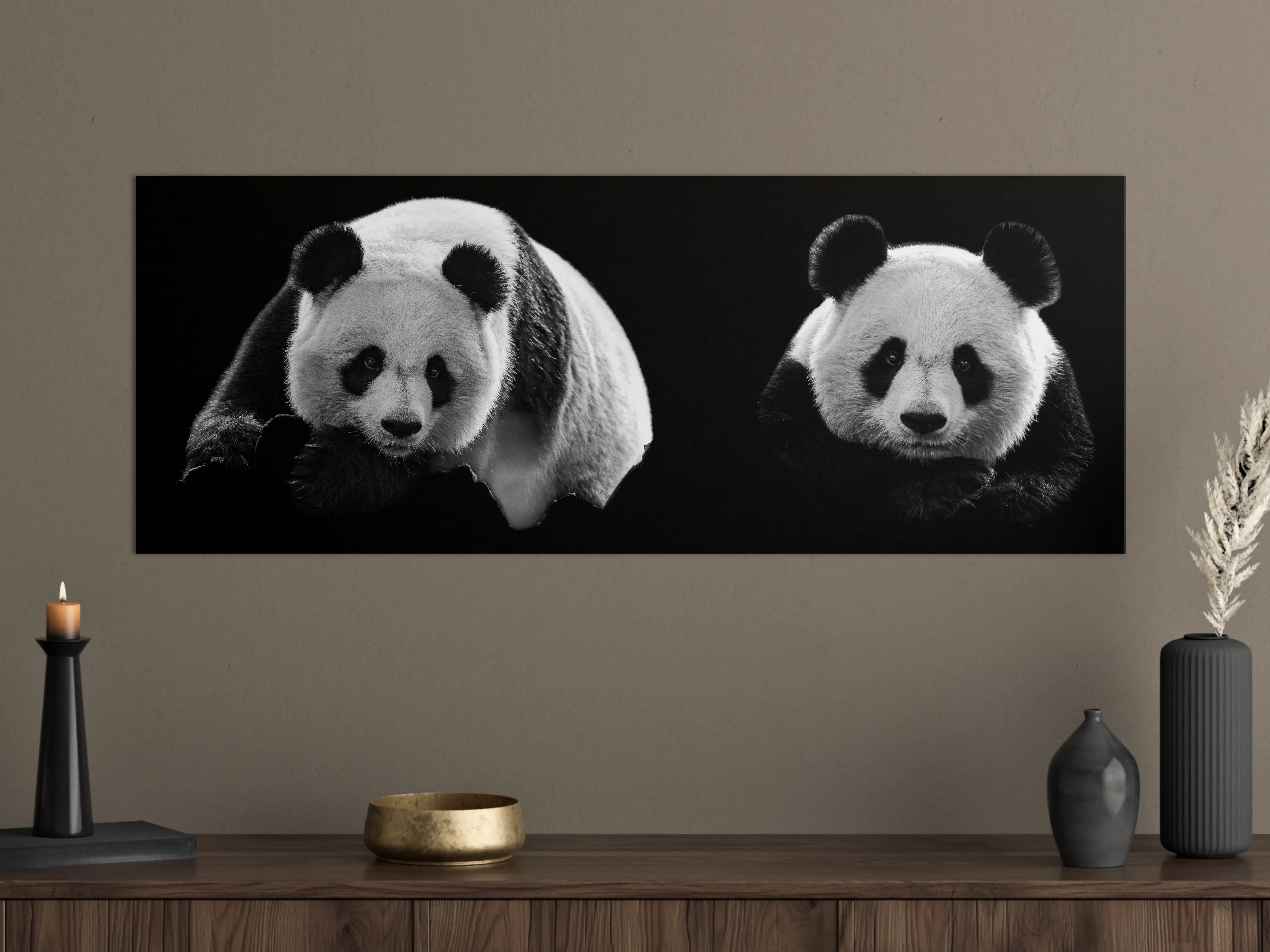 Große Wandbilder - Panda mit schwarzem Hintergrund