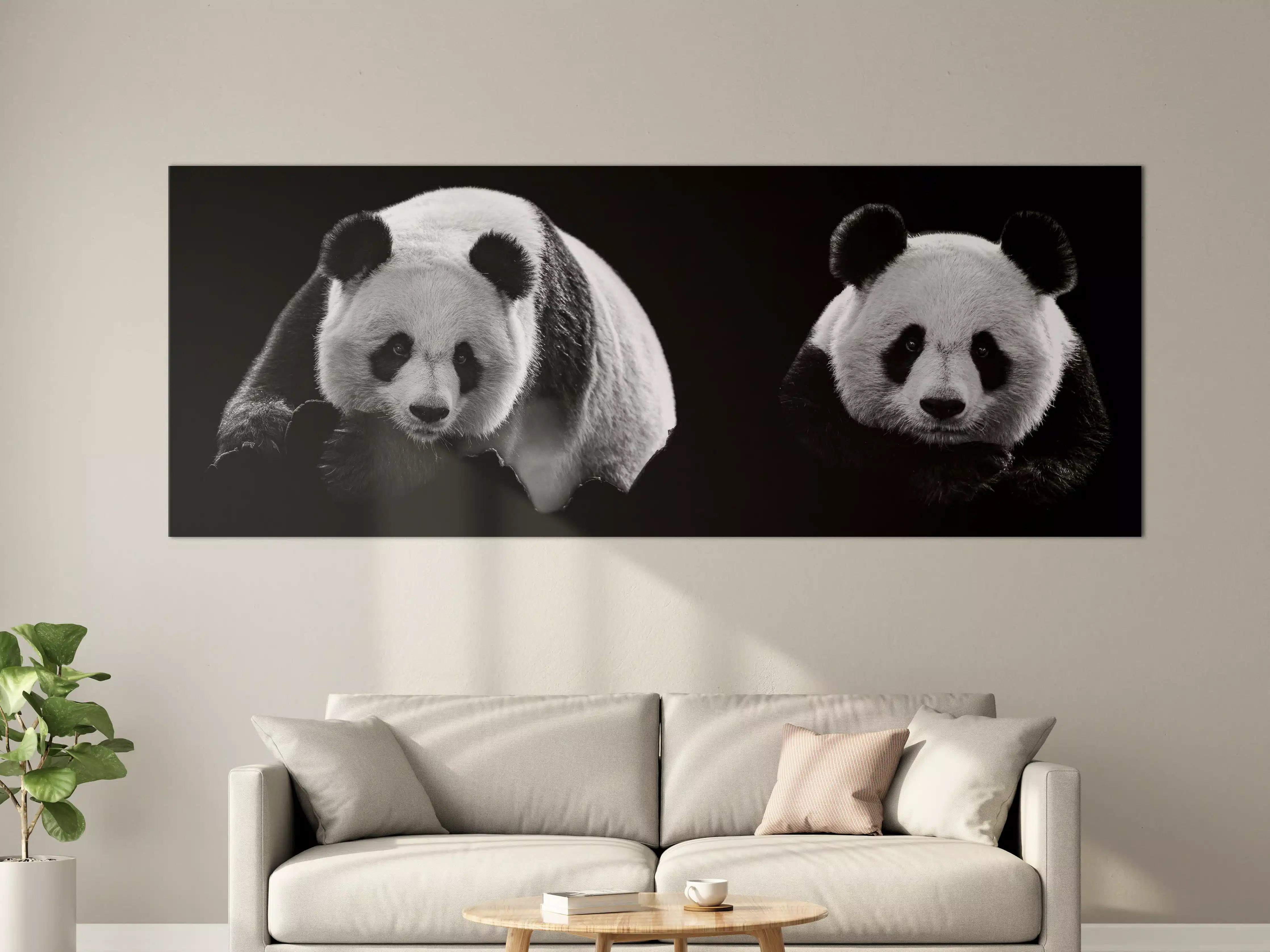 Große Wandbilder - Panda mit schwarzem Hintergrund