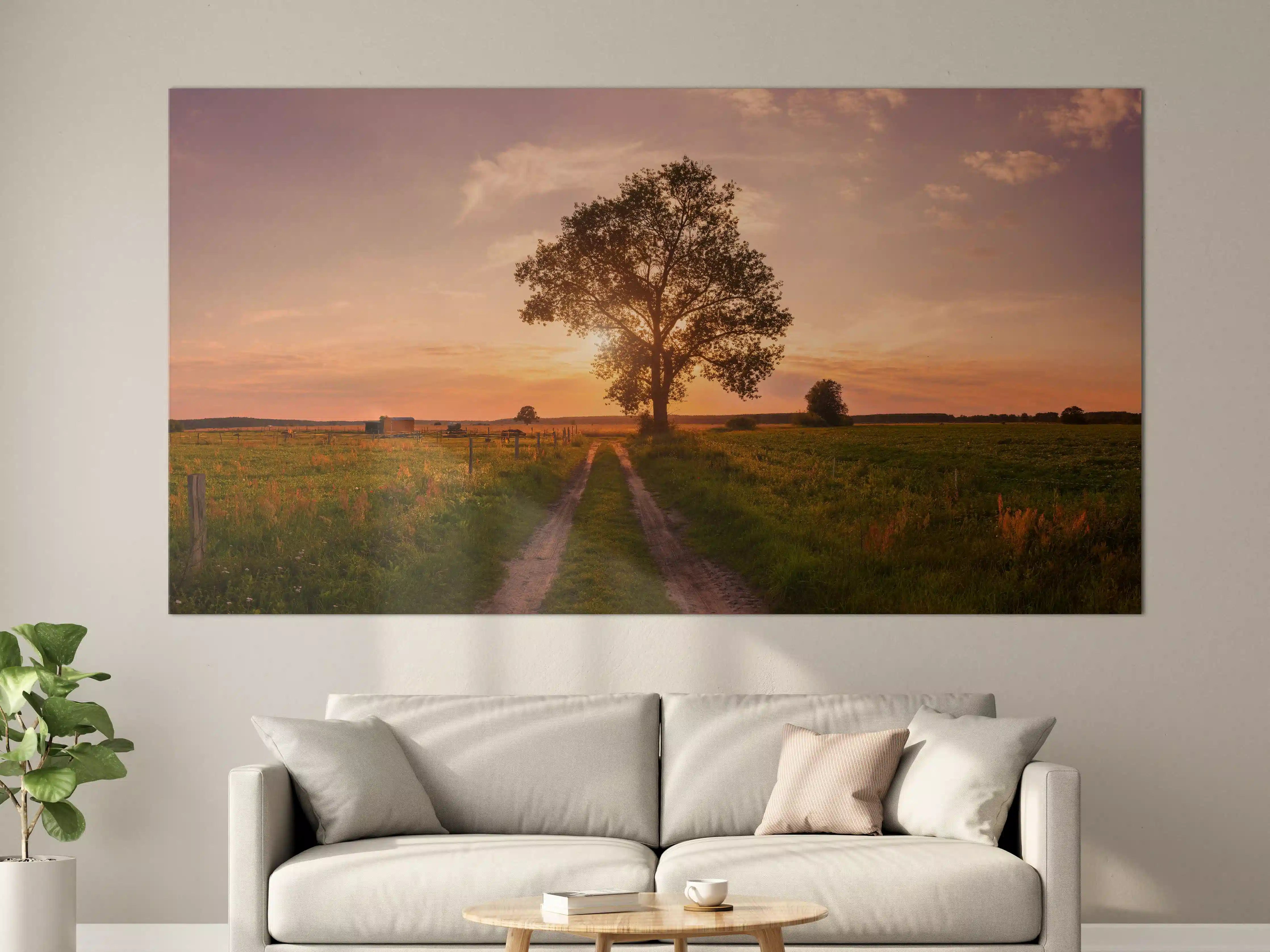 Große Wandbilder - Panorama Landleben Feldweg