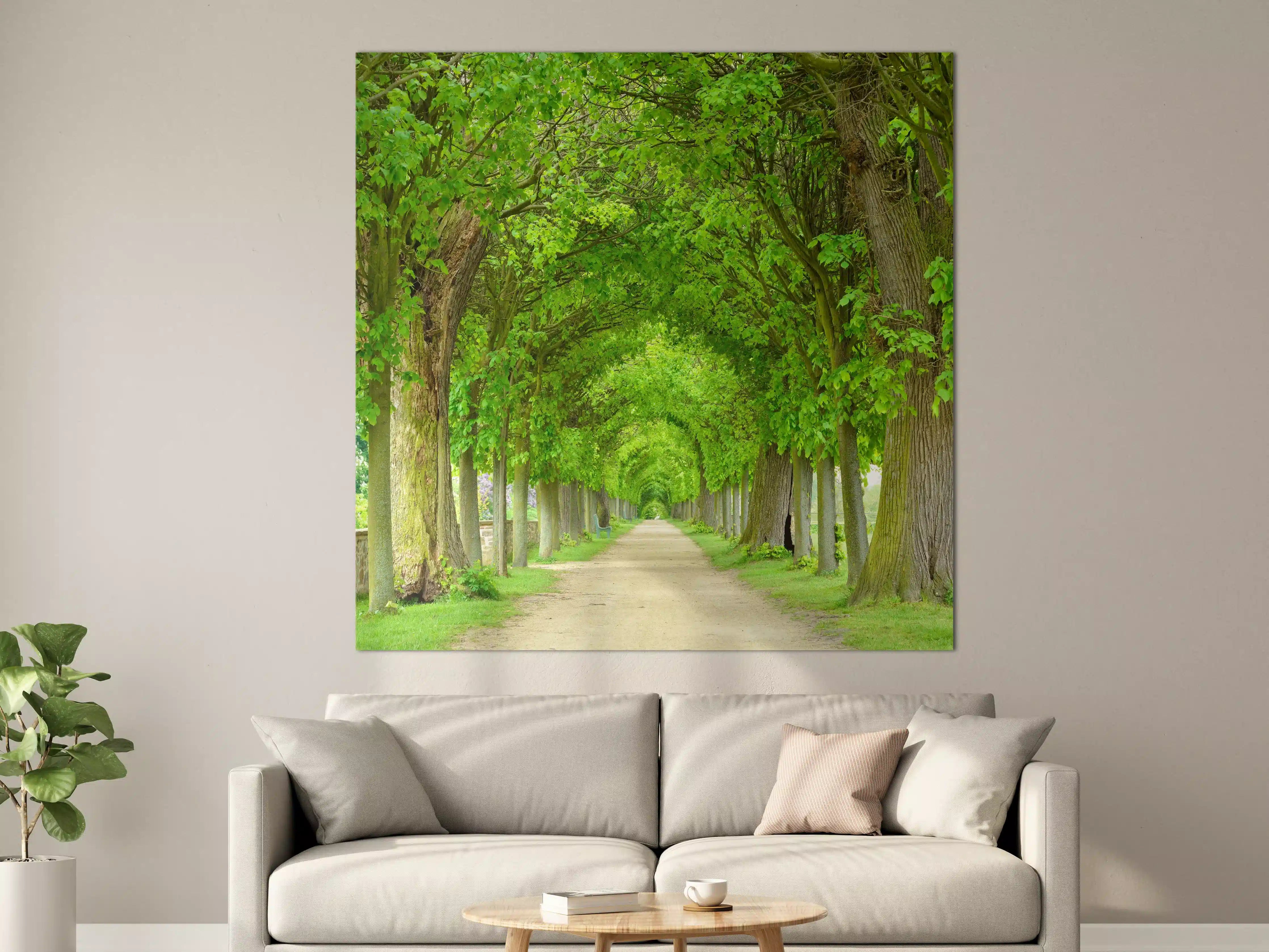 Große Wandbilder - Park mit tunnelartiger Lindenallee im Frühling