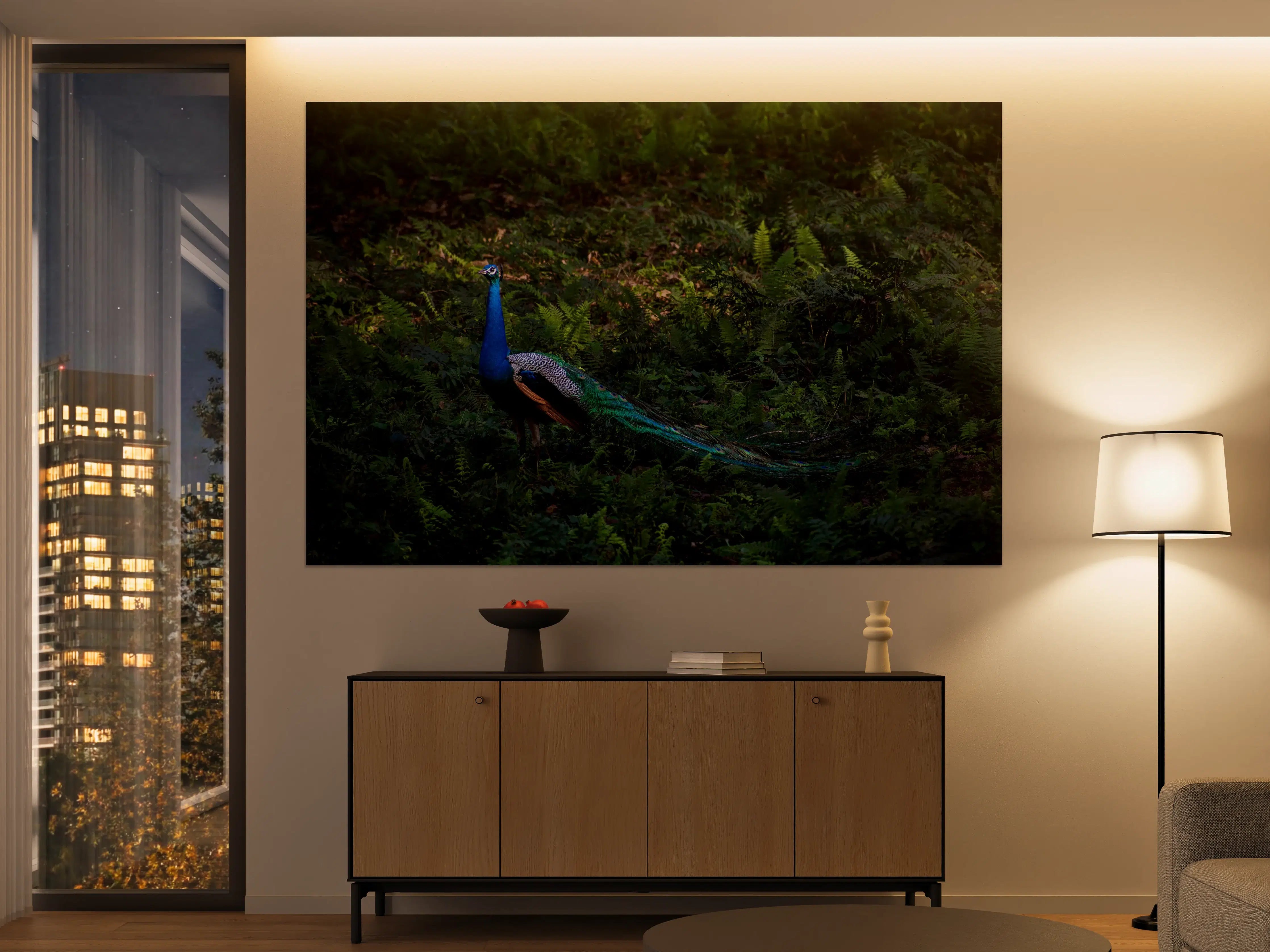 Große Wandbilder - Pfau in freier Natur