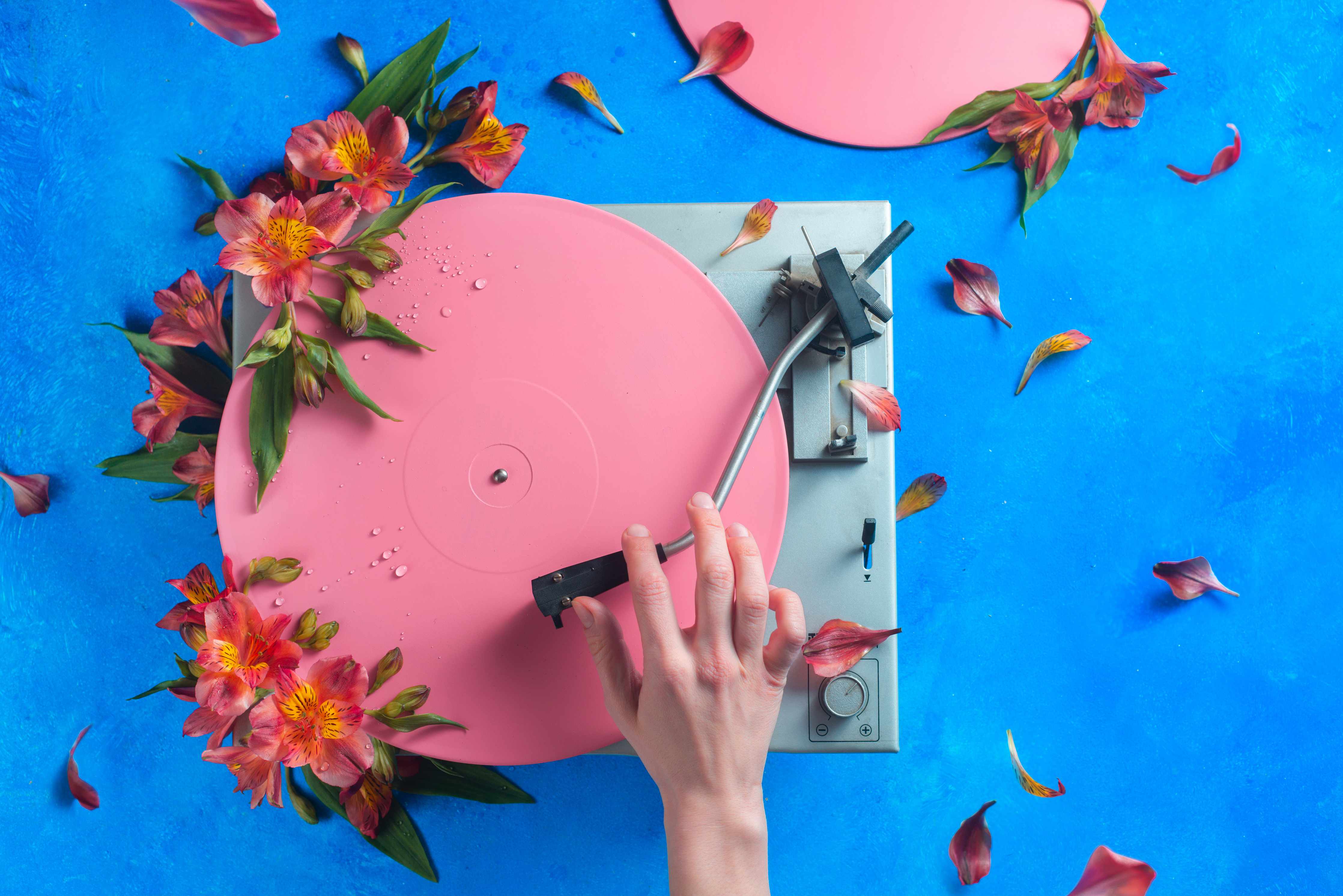 Große Wandbilder-Pink-Plattenspieler mit Blumen und Blüten