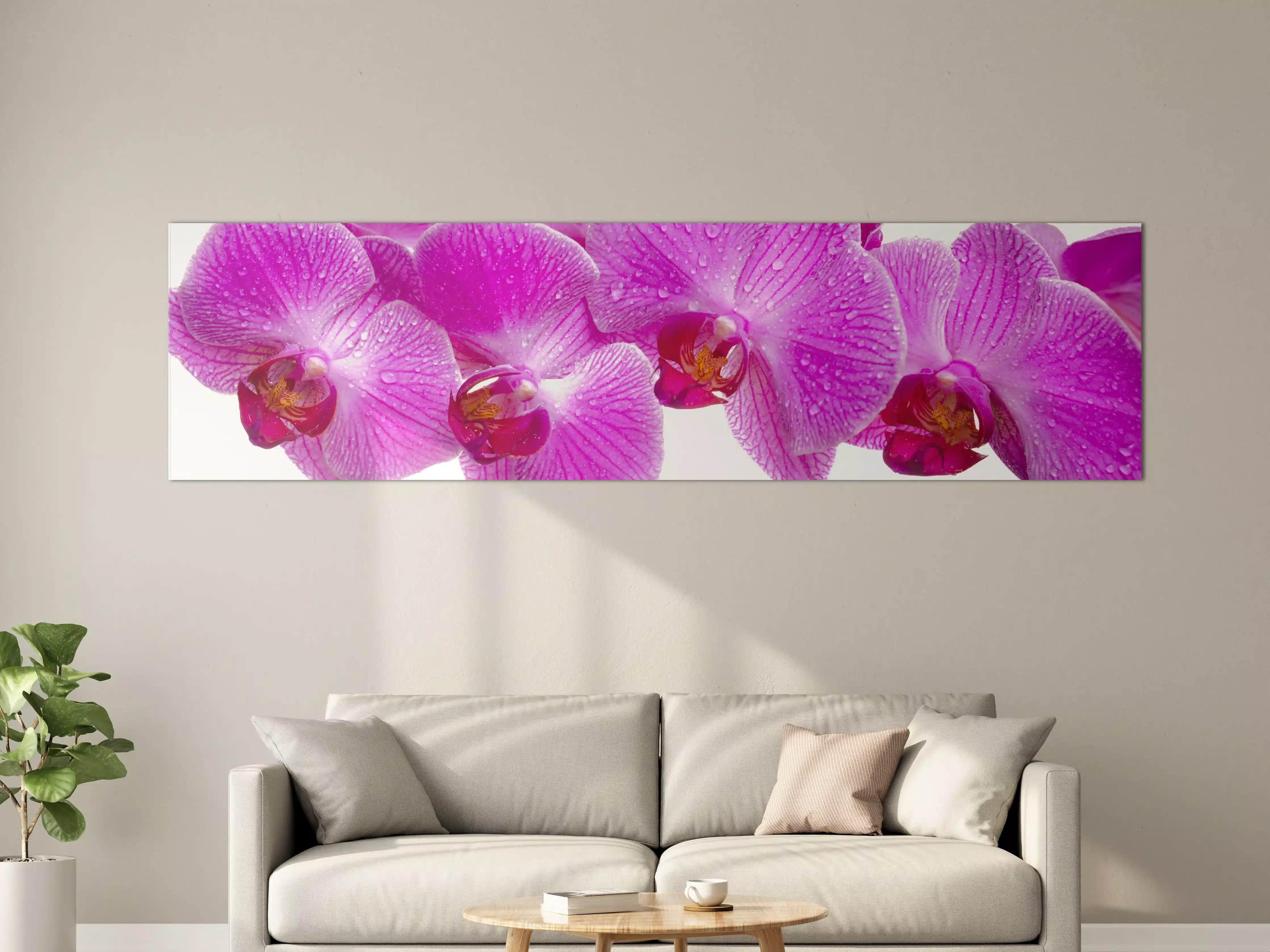 Große Wandbilder - Pinke Orchideen