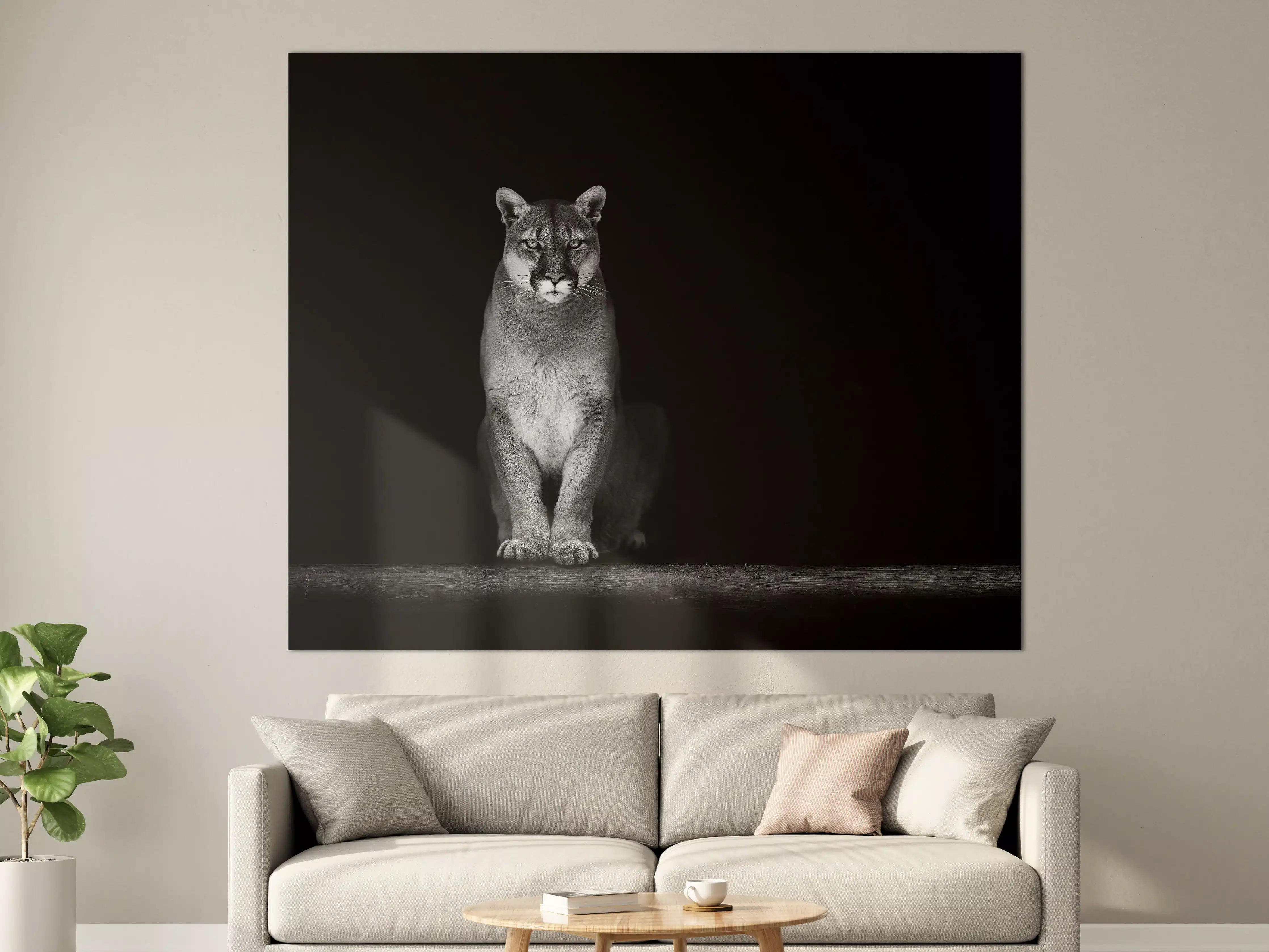 Große Wandbilder - Porträt des Bergpumas