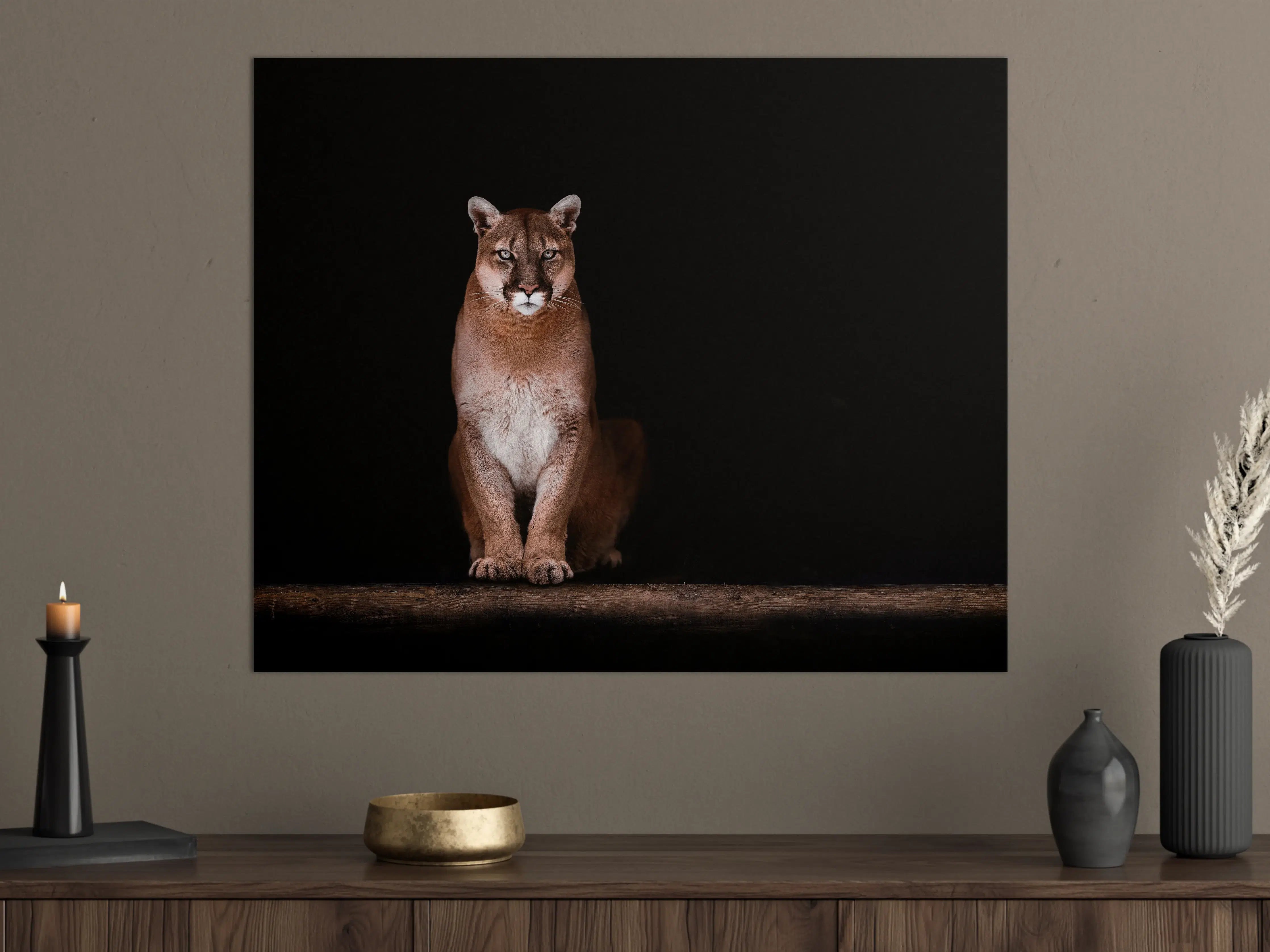 Große Wandbilder - Porträt des schönen Pumas