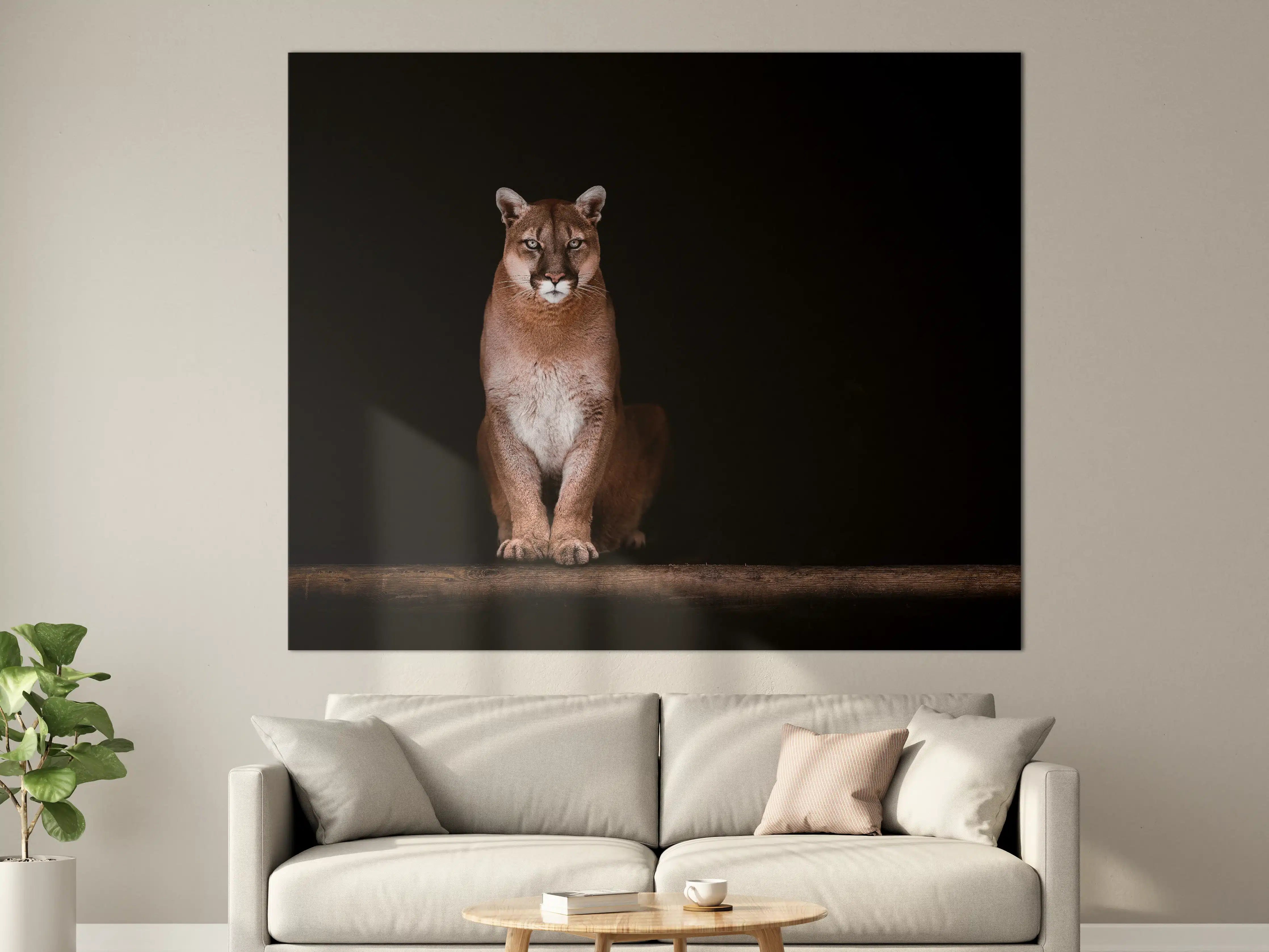 Große Wandbilder - Porträt des schönen Pumas