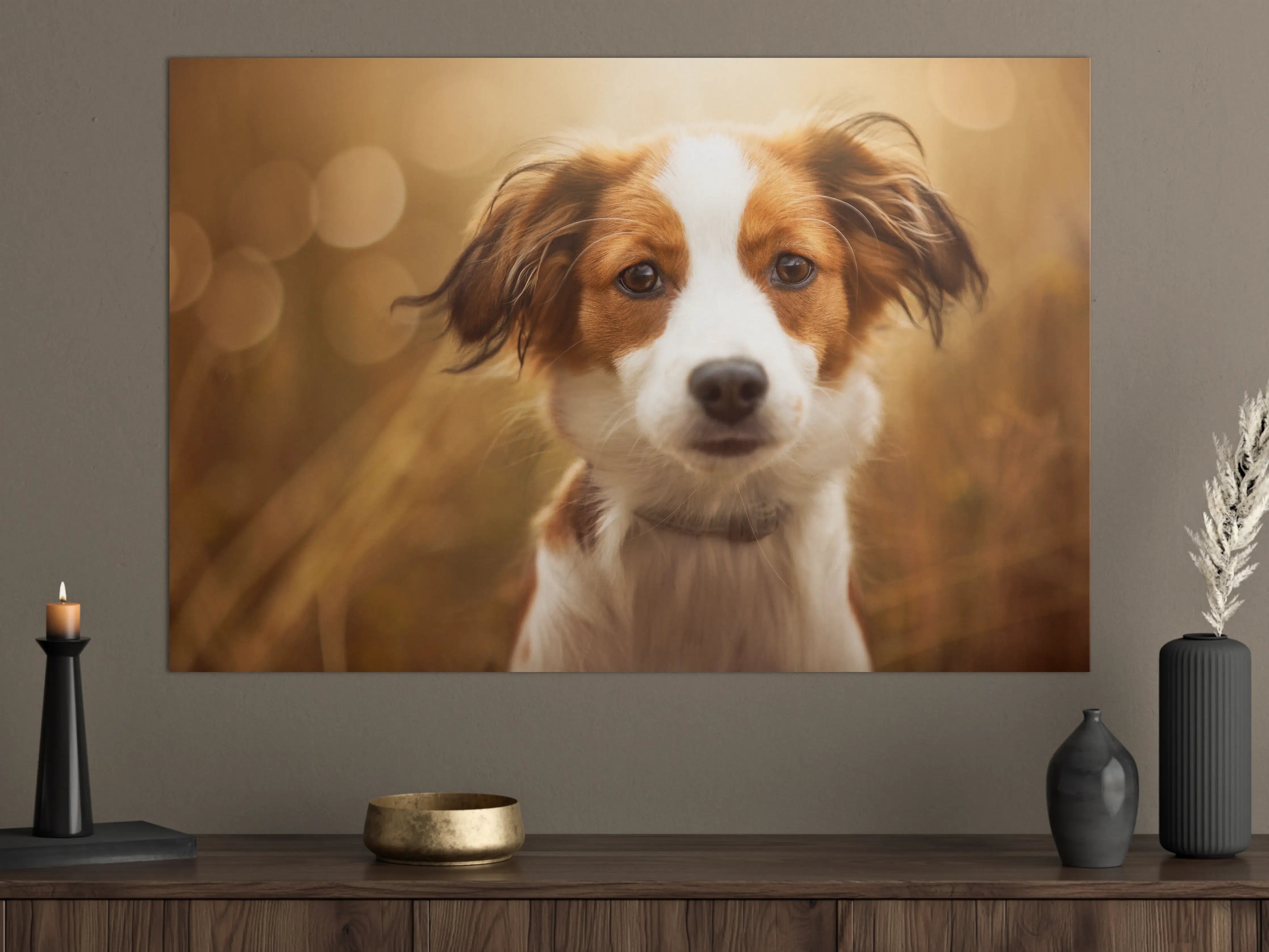 Große Wandbilder - Portrait eines süßen Kooiker Hundes