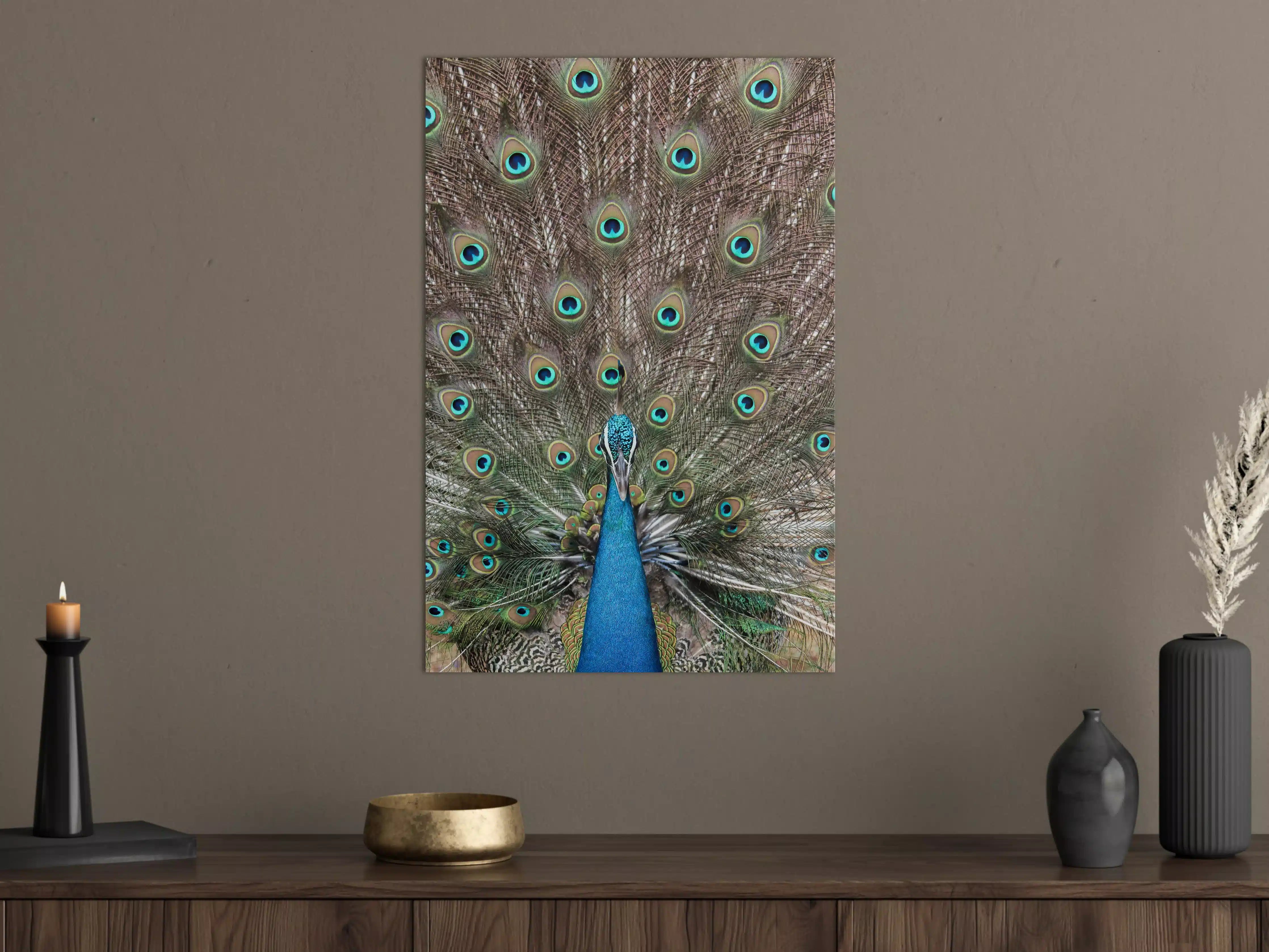 Große Wandbilder - Prachteroser Pfau mit farbenfrohem Federkleid