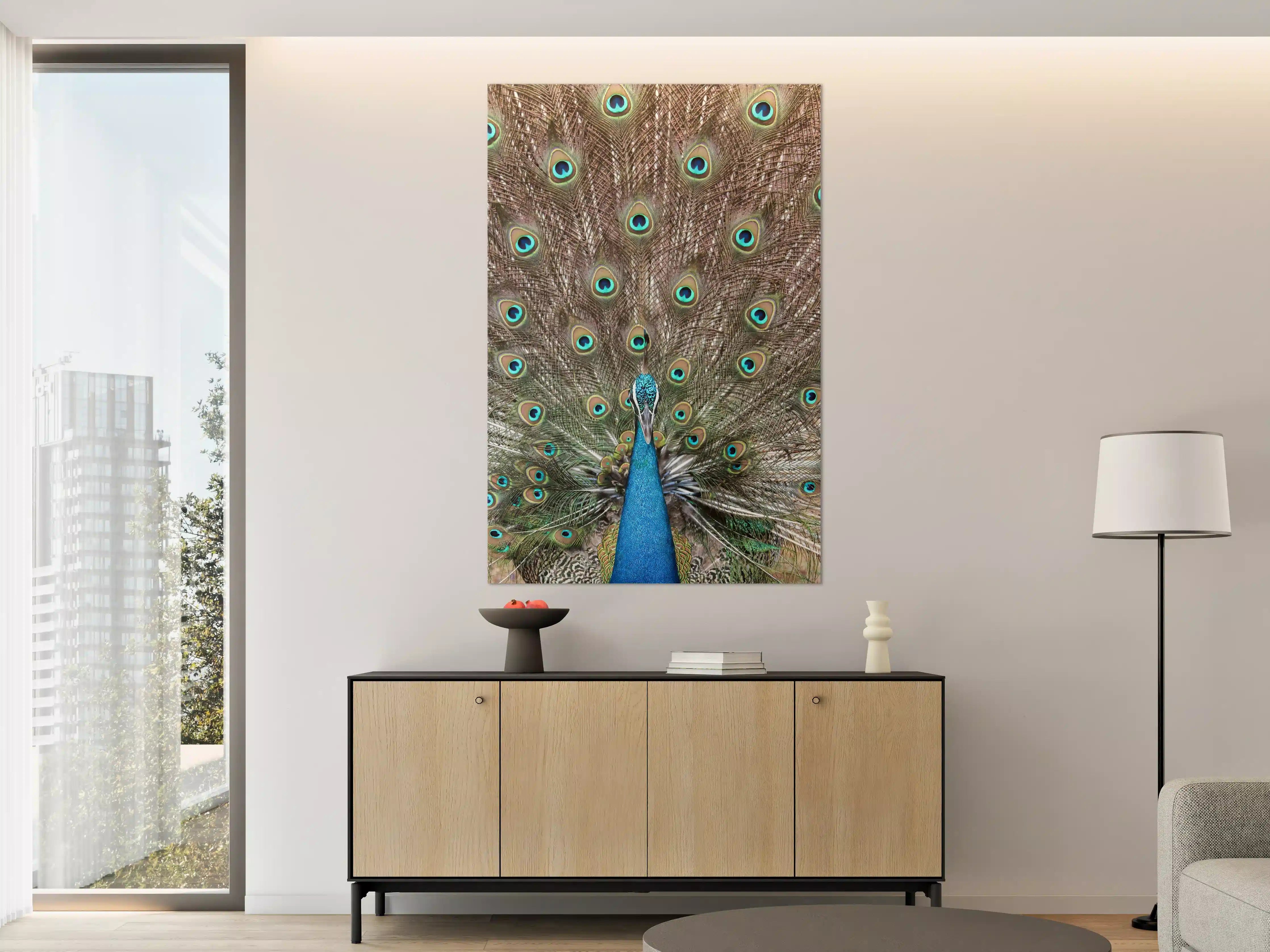 Große Wandbilder - Prachteroser Pfau mit farbenfrohem Federkleid