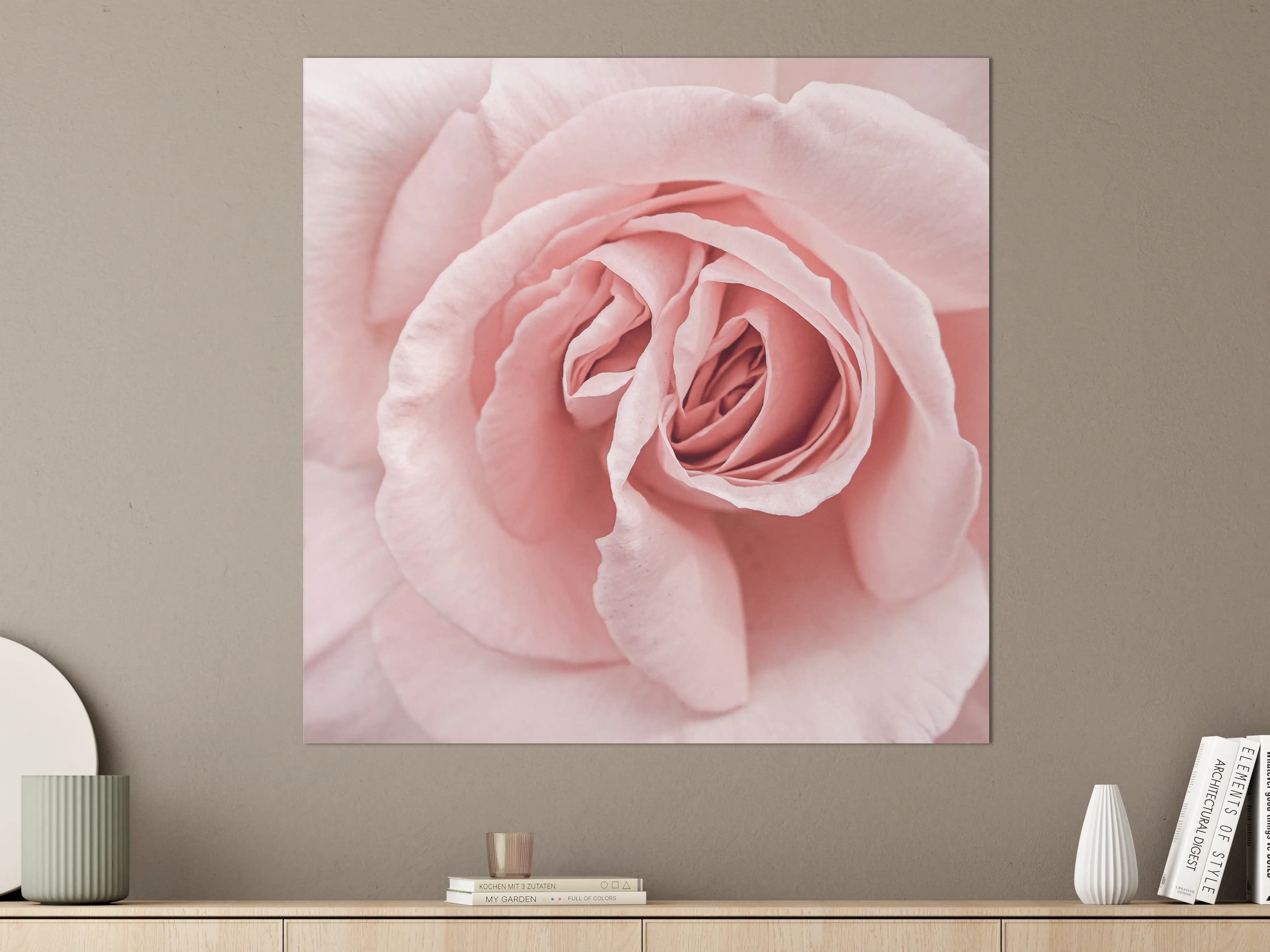 Große Wandbilder - Prächtige rosa Rose