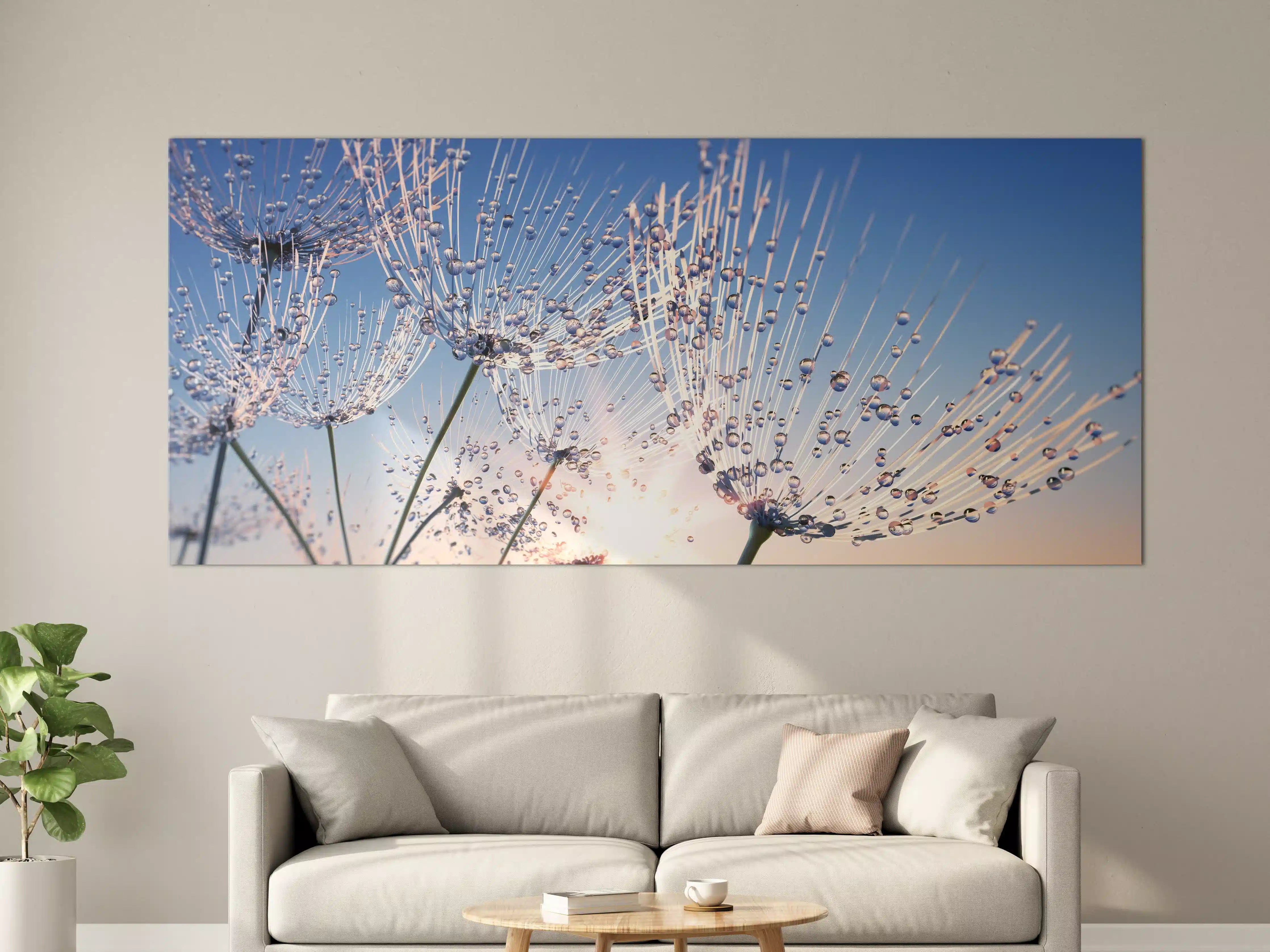 Große Wandbilder - Pusteblume mit Tautropfen