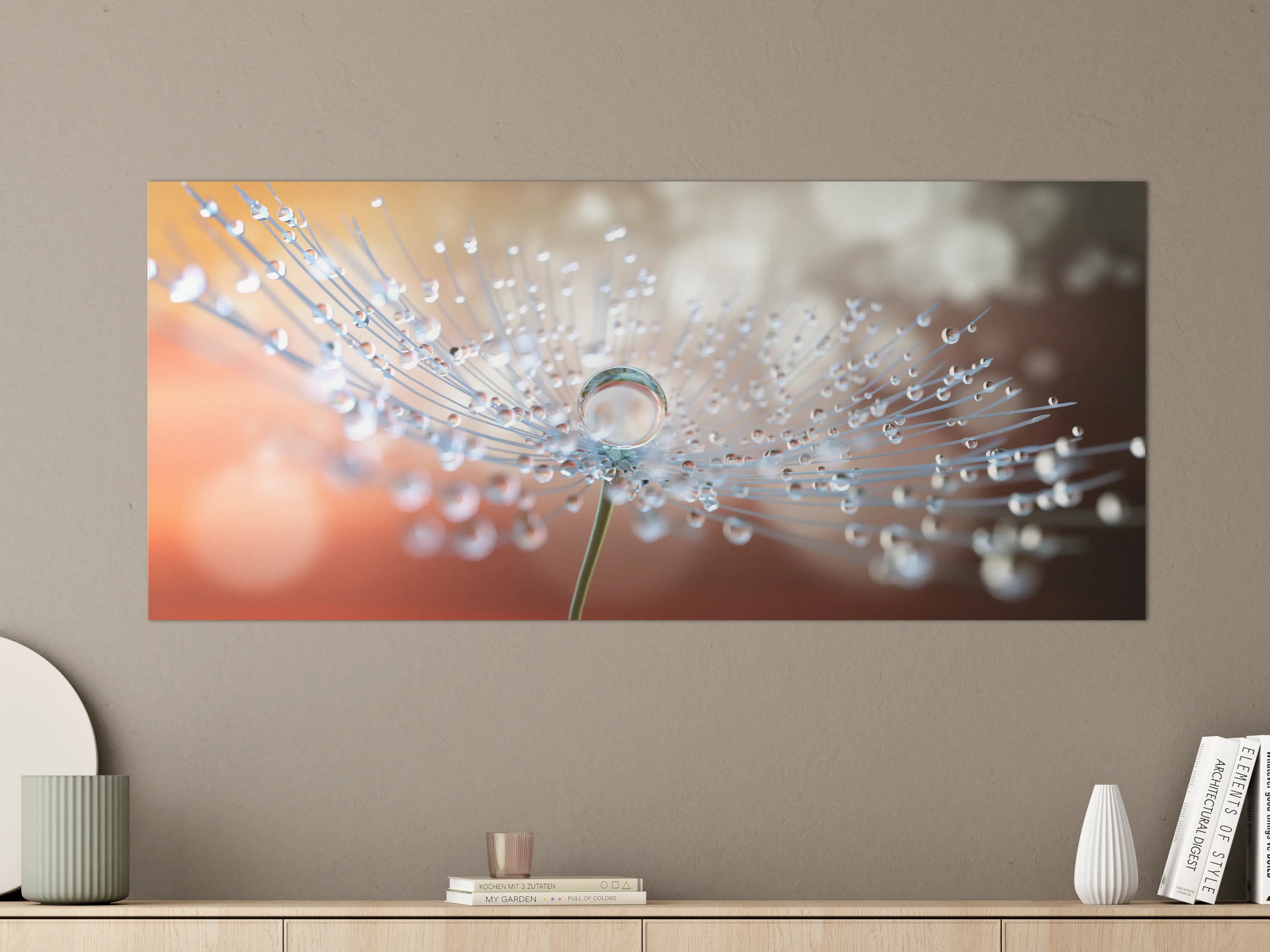 Große Wandbilder - Pusteblume mit Tautropfen bei Abendlicht