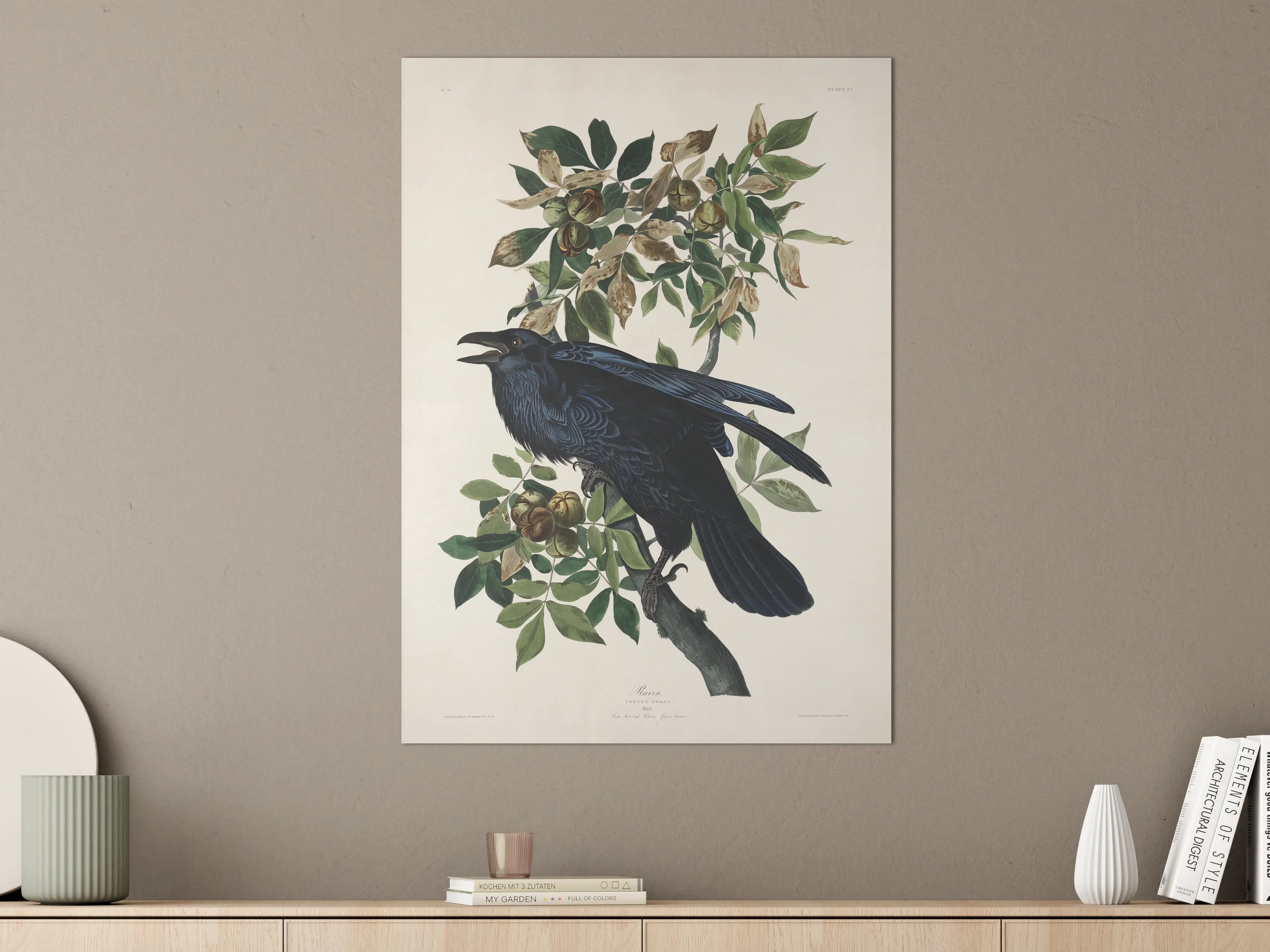 Große Wandbilder - Raben Portrait - John James Audubon