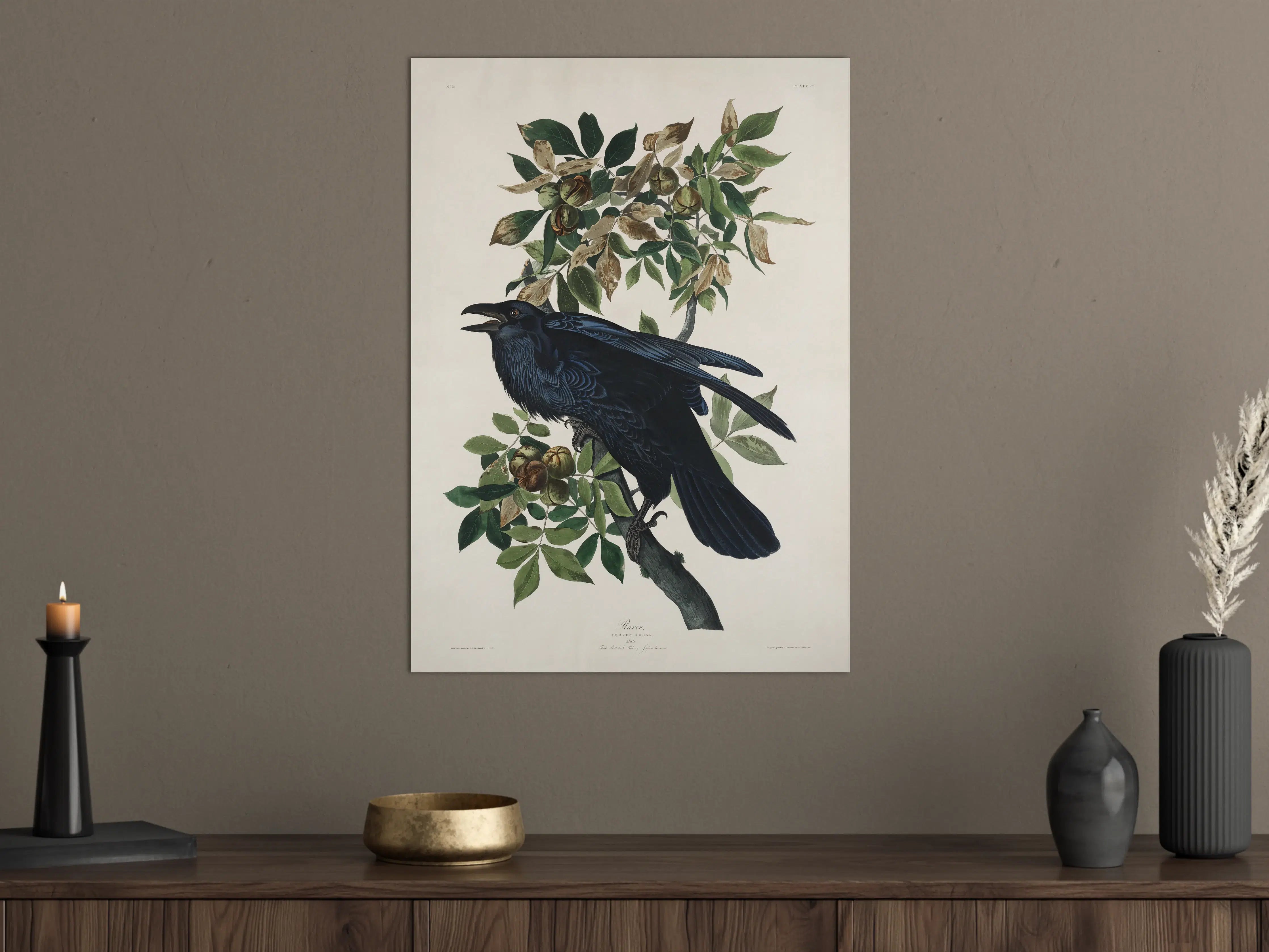 Große Wandbilder - Raben Portrait - John James Audubon