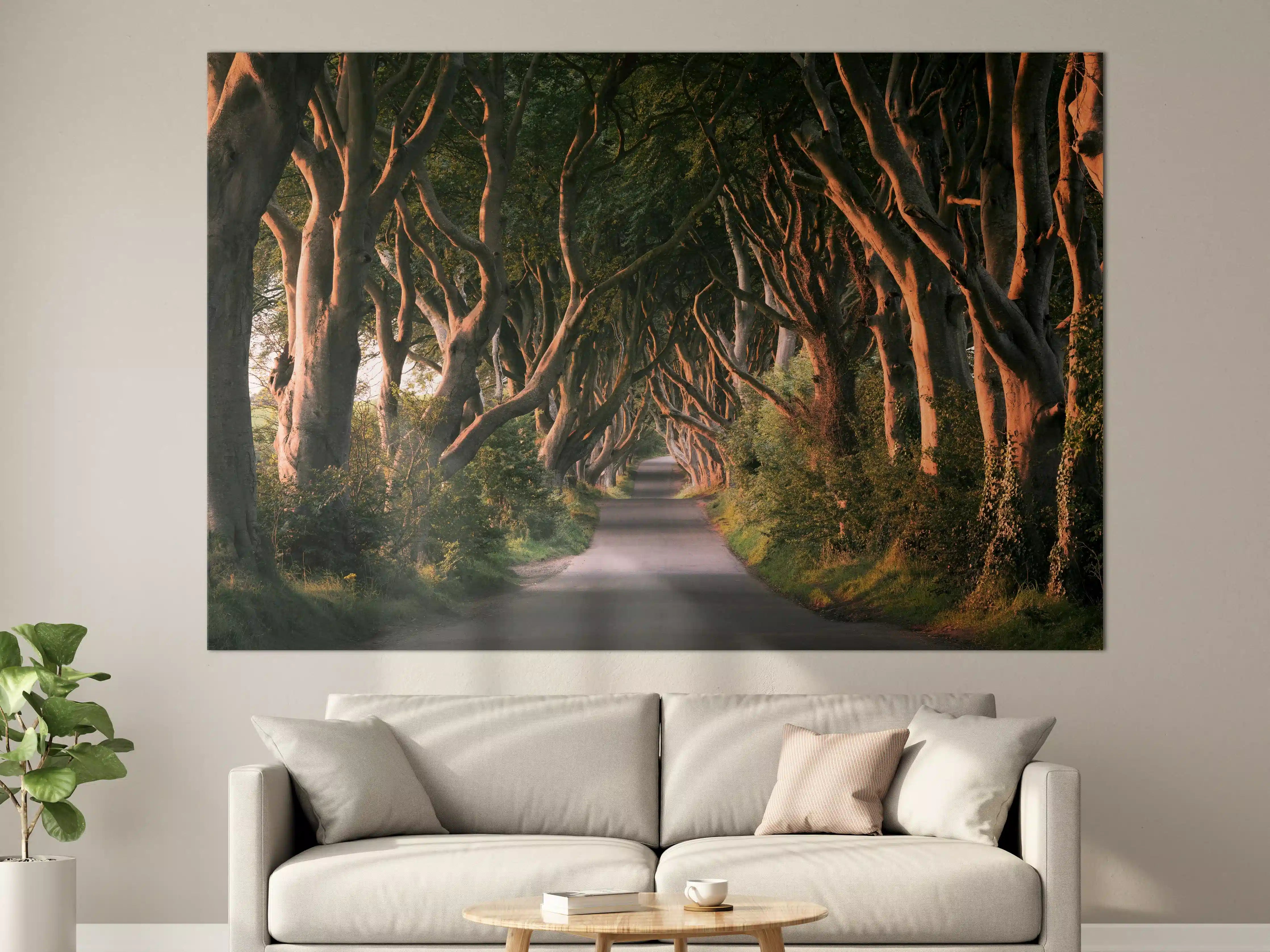 Große Wandbilder - Red Avenue