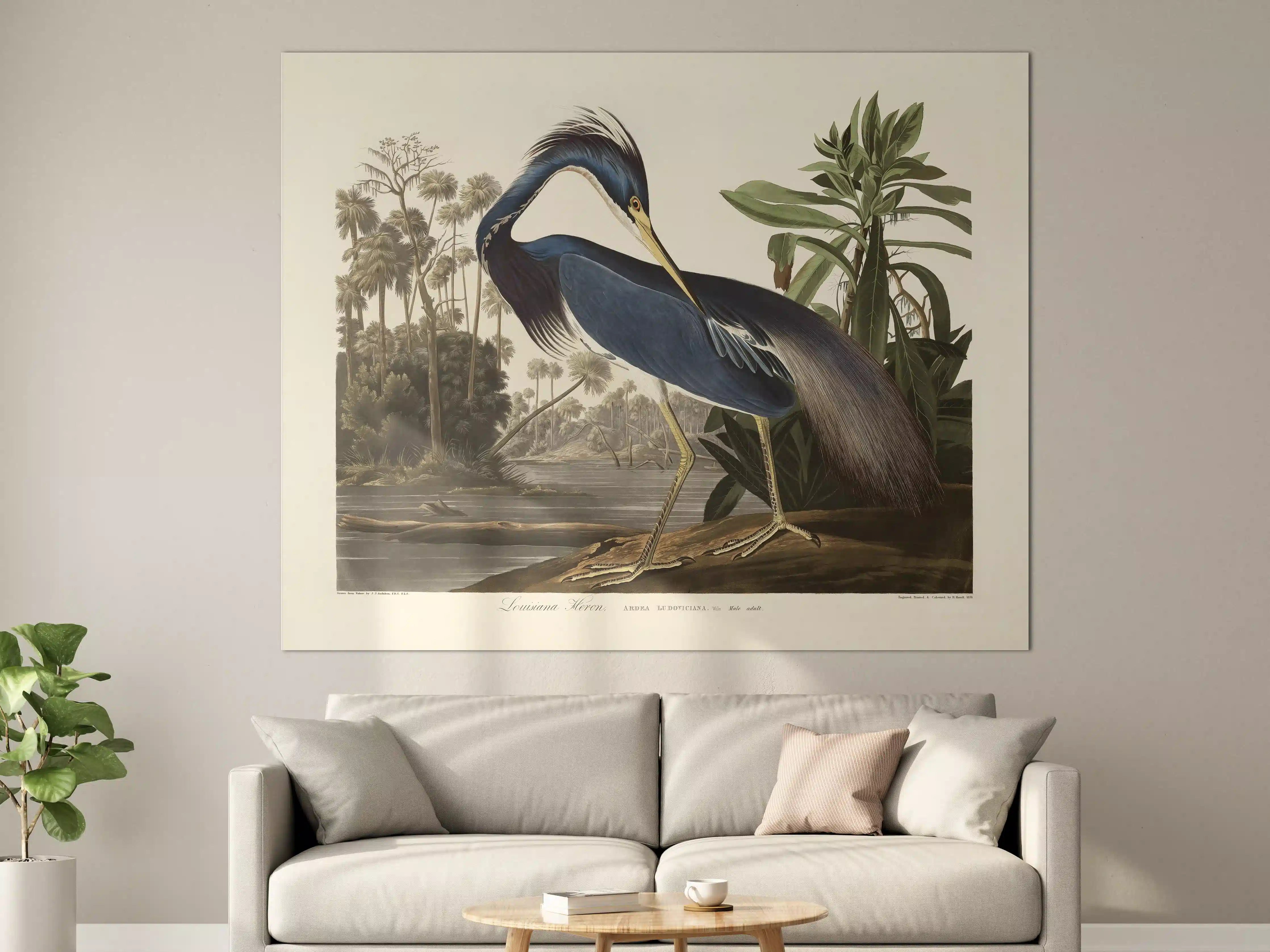Große Wandbilder - Reiher Portrait - John James Audubon