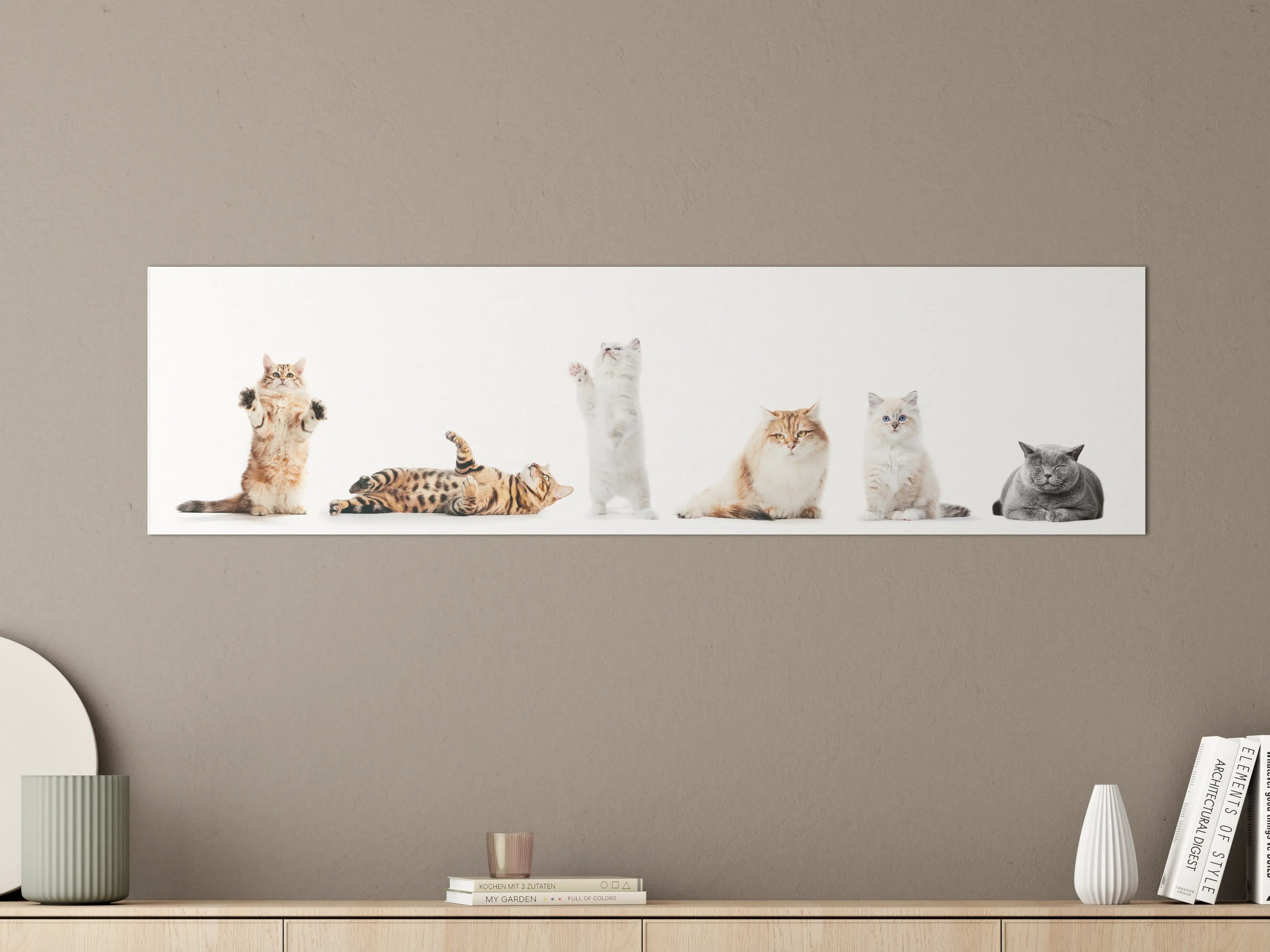 Große Wandbilder - Reinrassige Katzen Weiß-Sammlung