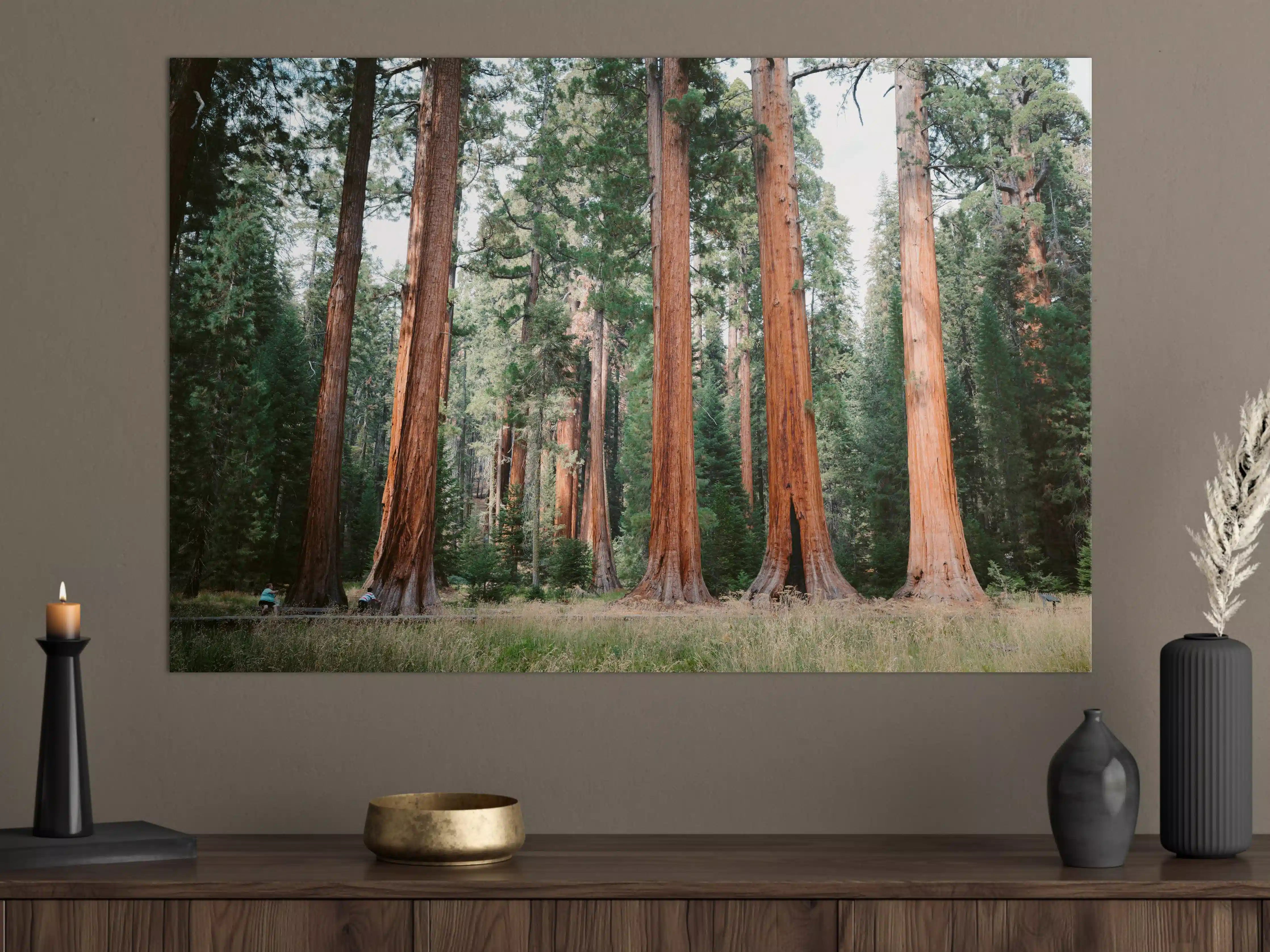Große Wandbilder - Riesenmammutbäume im Sequoia-Nationalpark