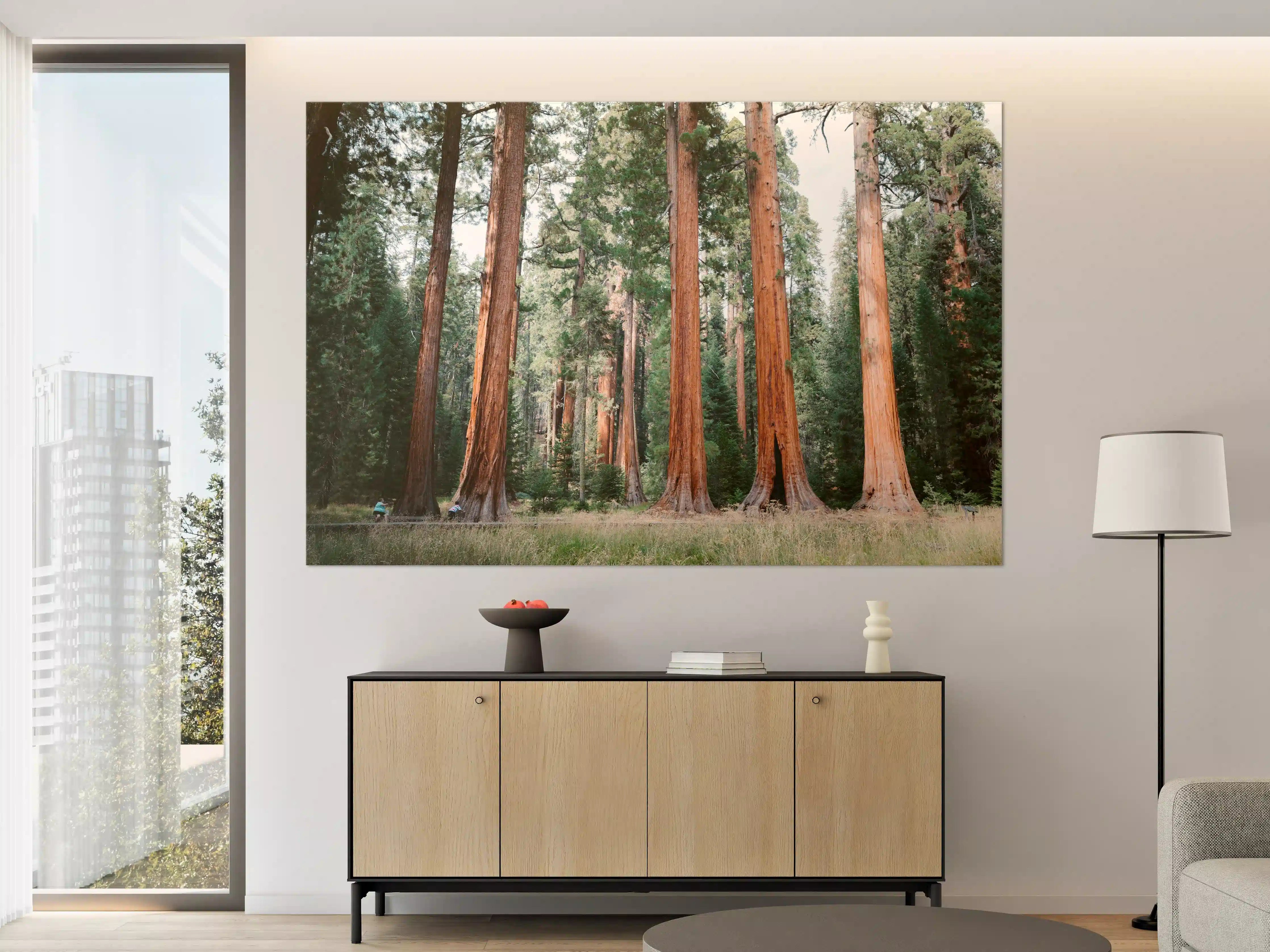 Große Wandbilder - Riesenmammutbäume im Sequoia-Nationalpark