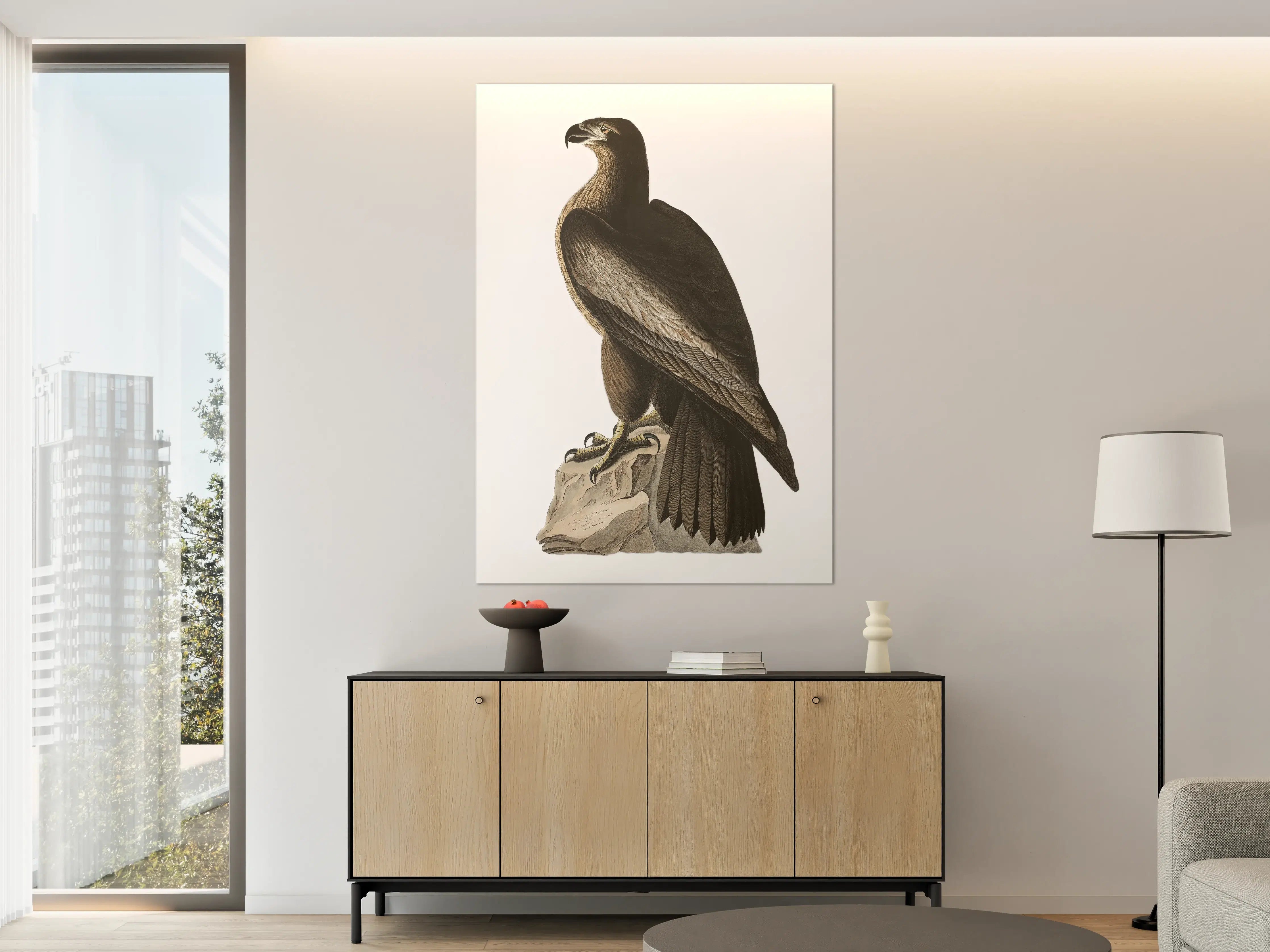 Große Wandbilder - Riesenseeadler Portrait - John James Audubon