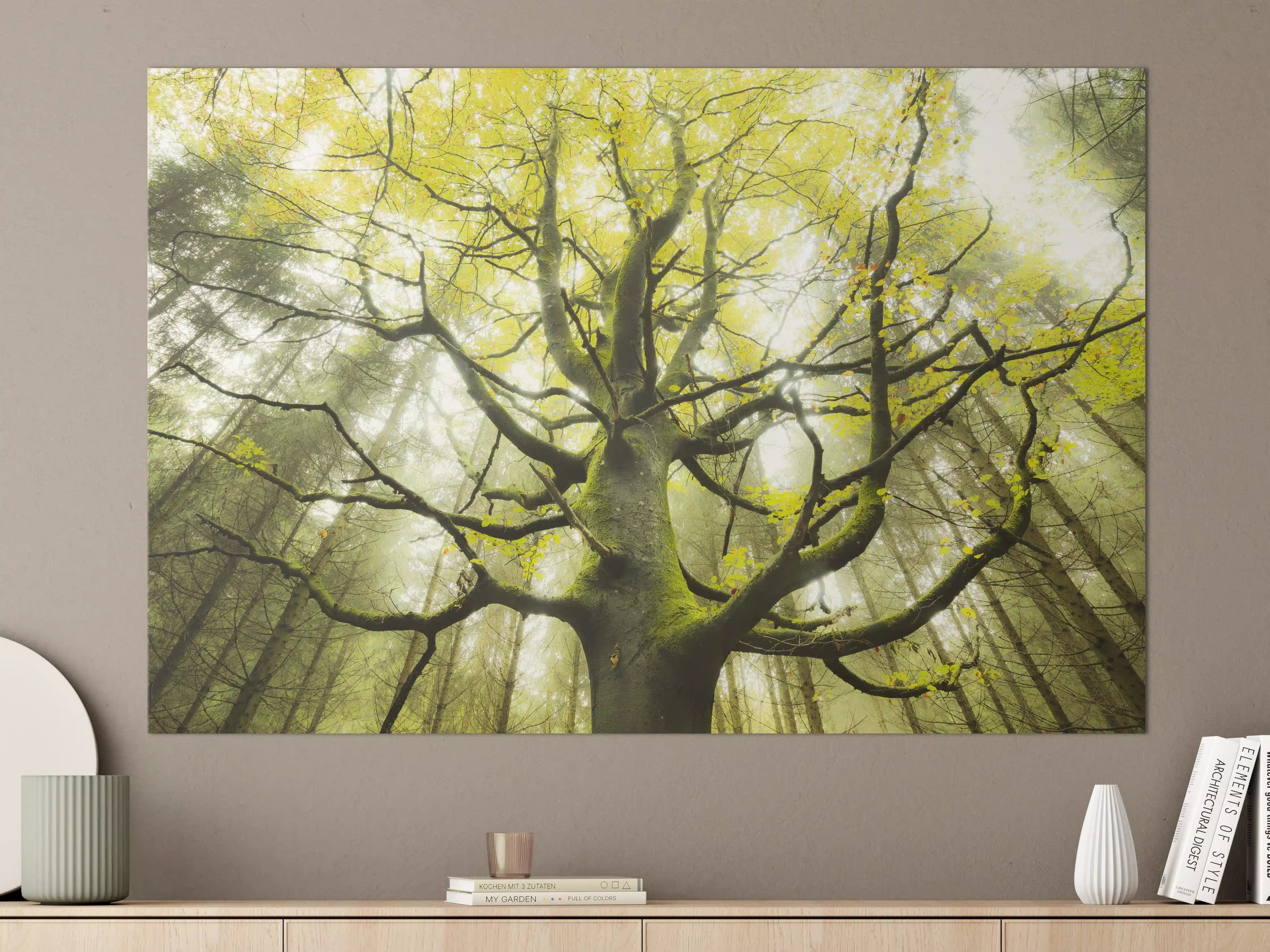Große Wandbilder - Riesiger Baum in Bayern