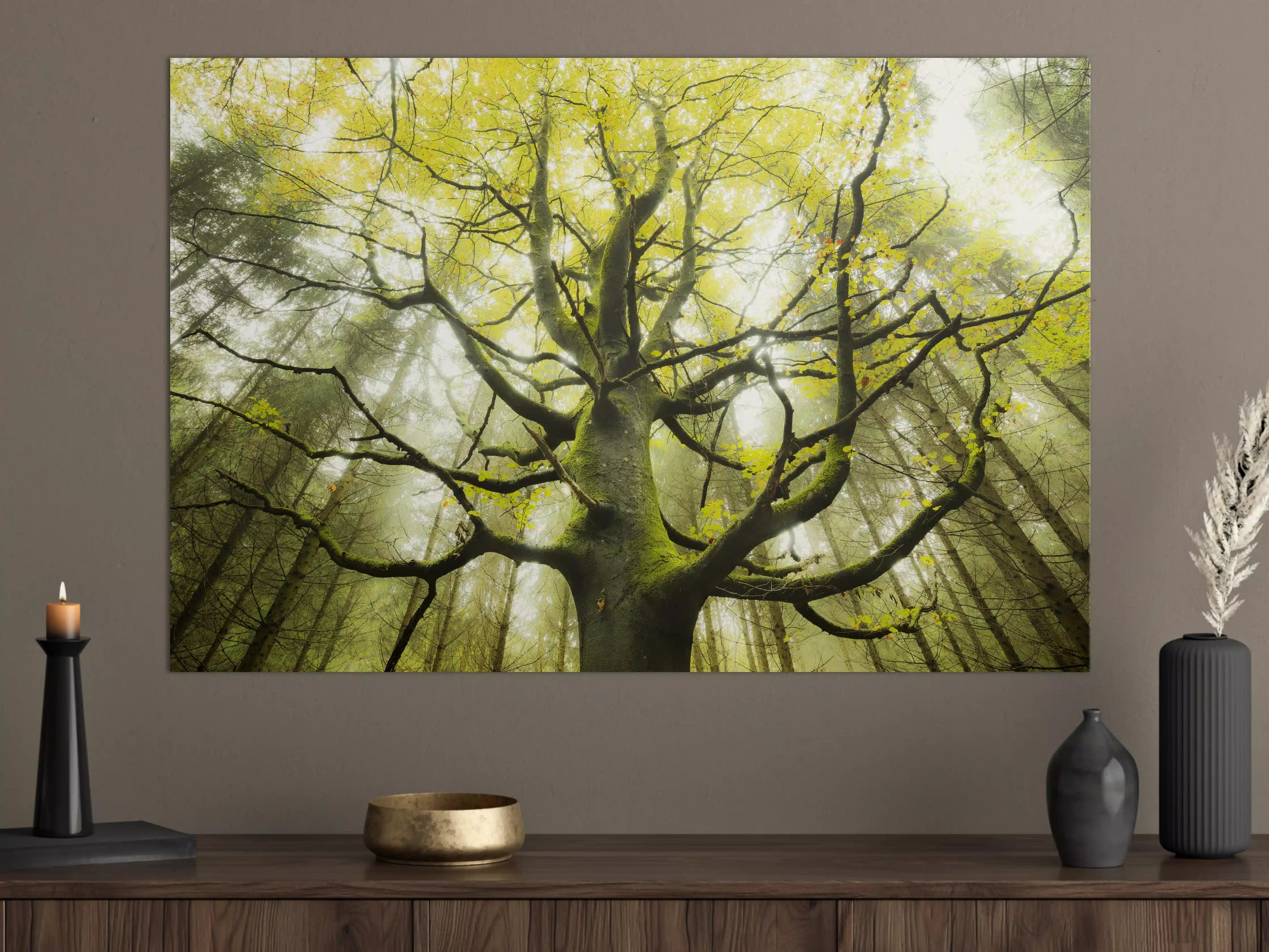 Große Wandbilder - Riesiger Baum in Bayern