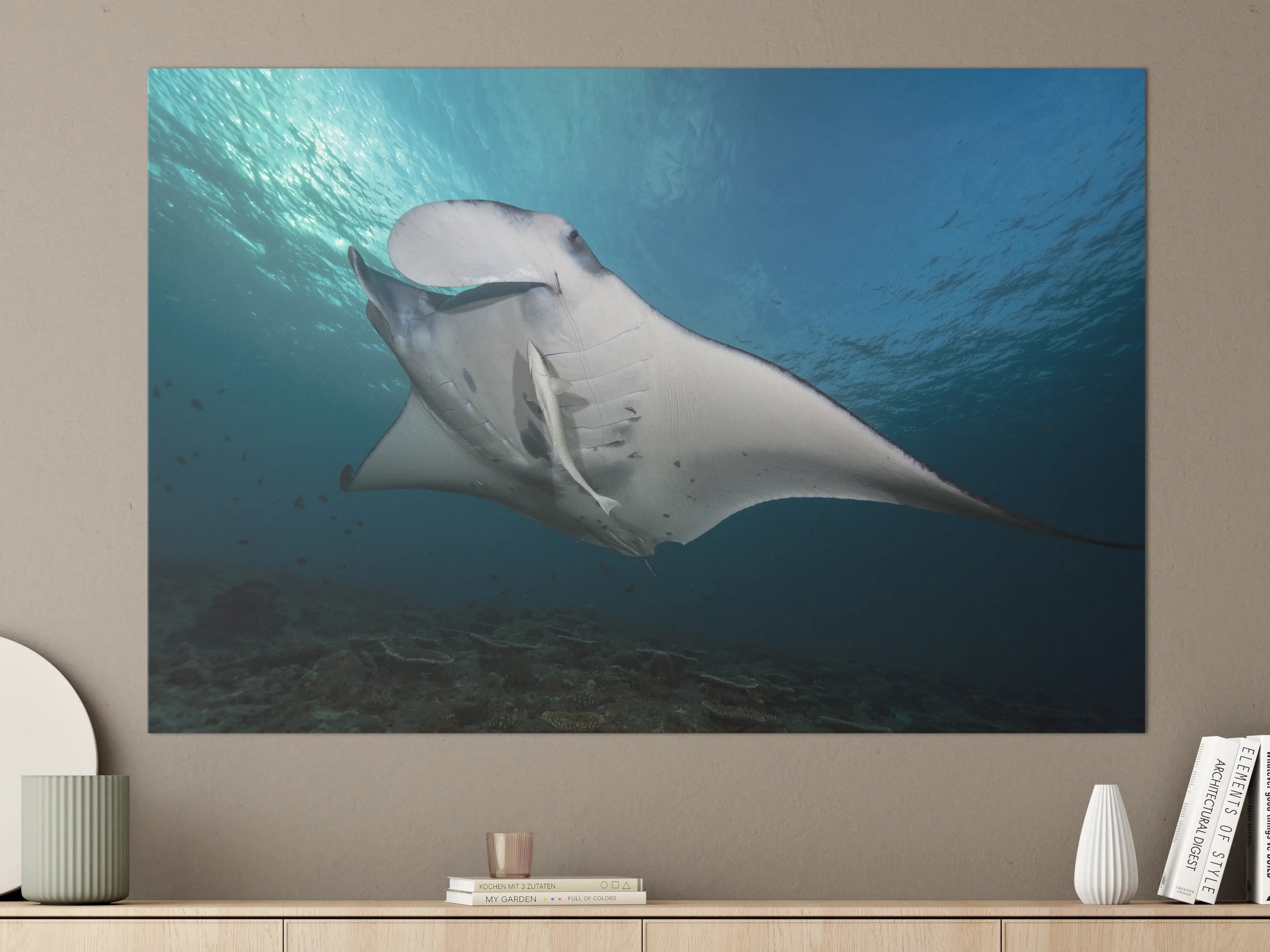 Große Wandbilder - Riff-Manta Unterwasser