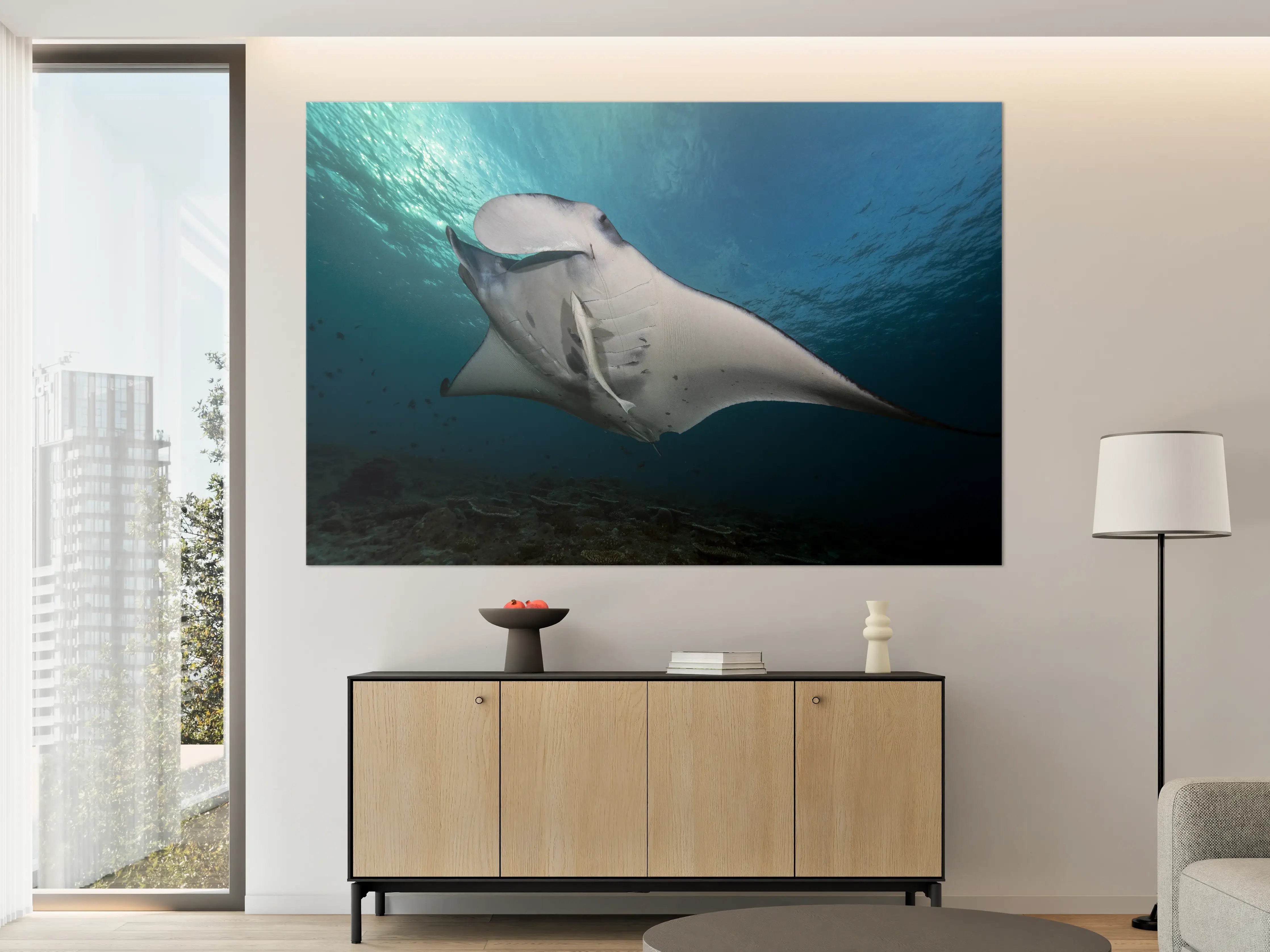 Große Wandbilder - Riff-Manta Unterwasser