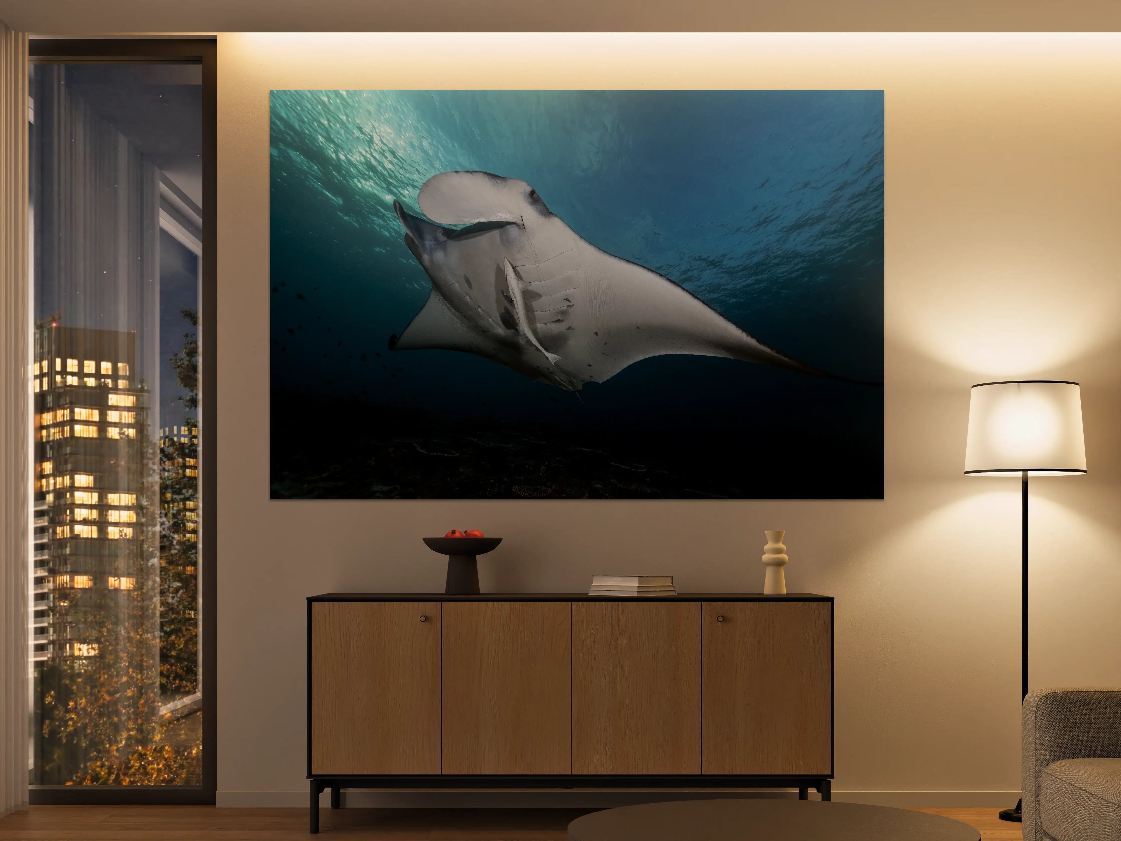 Große Wandbilder - Riff-Manta Unterwasser