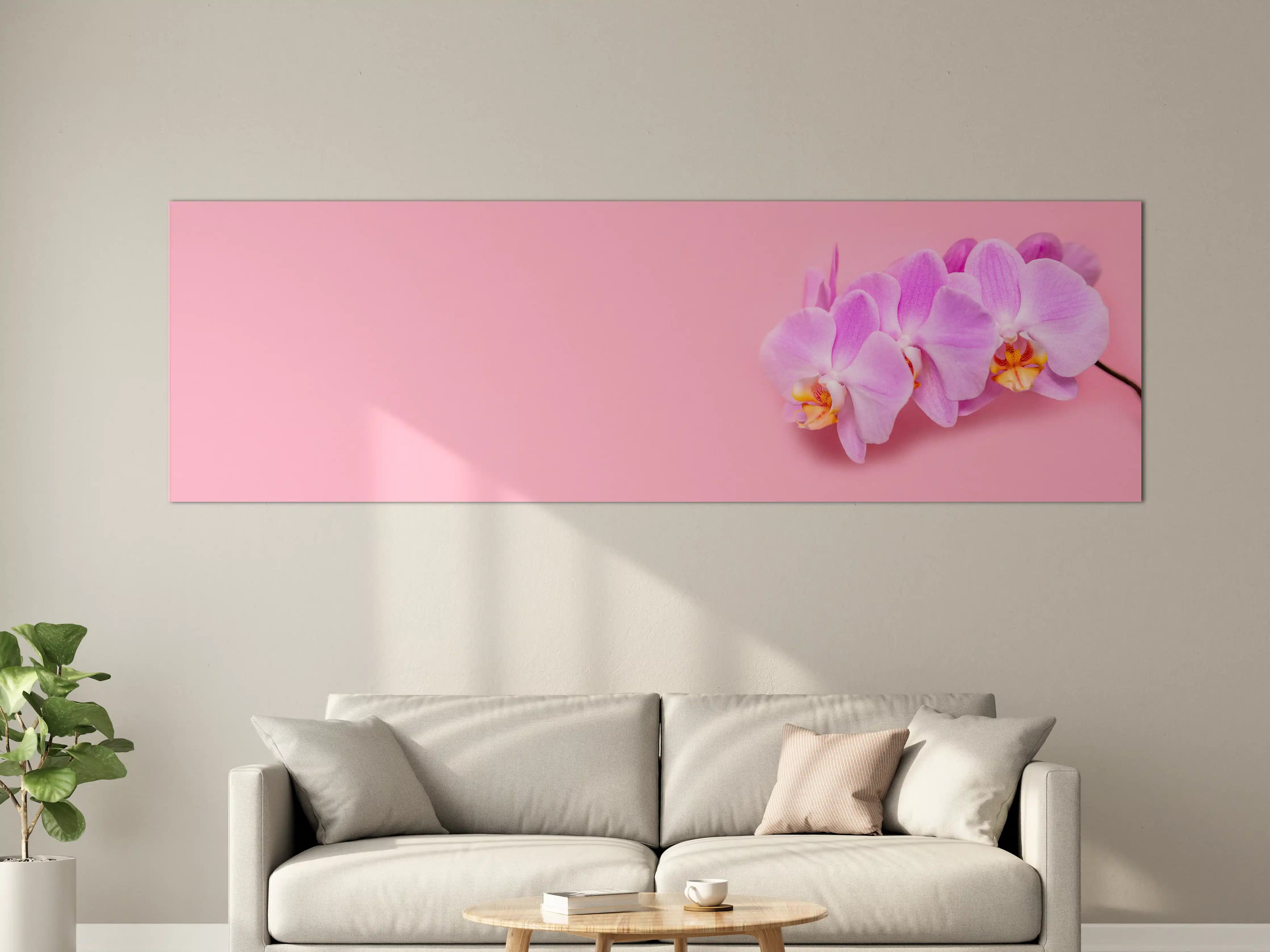 Große Wandbilder - Rosa Orchideen auf Pink