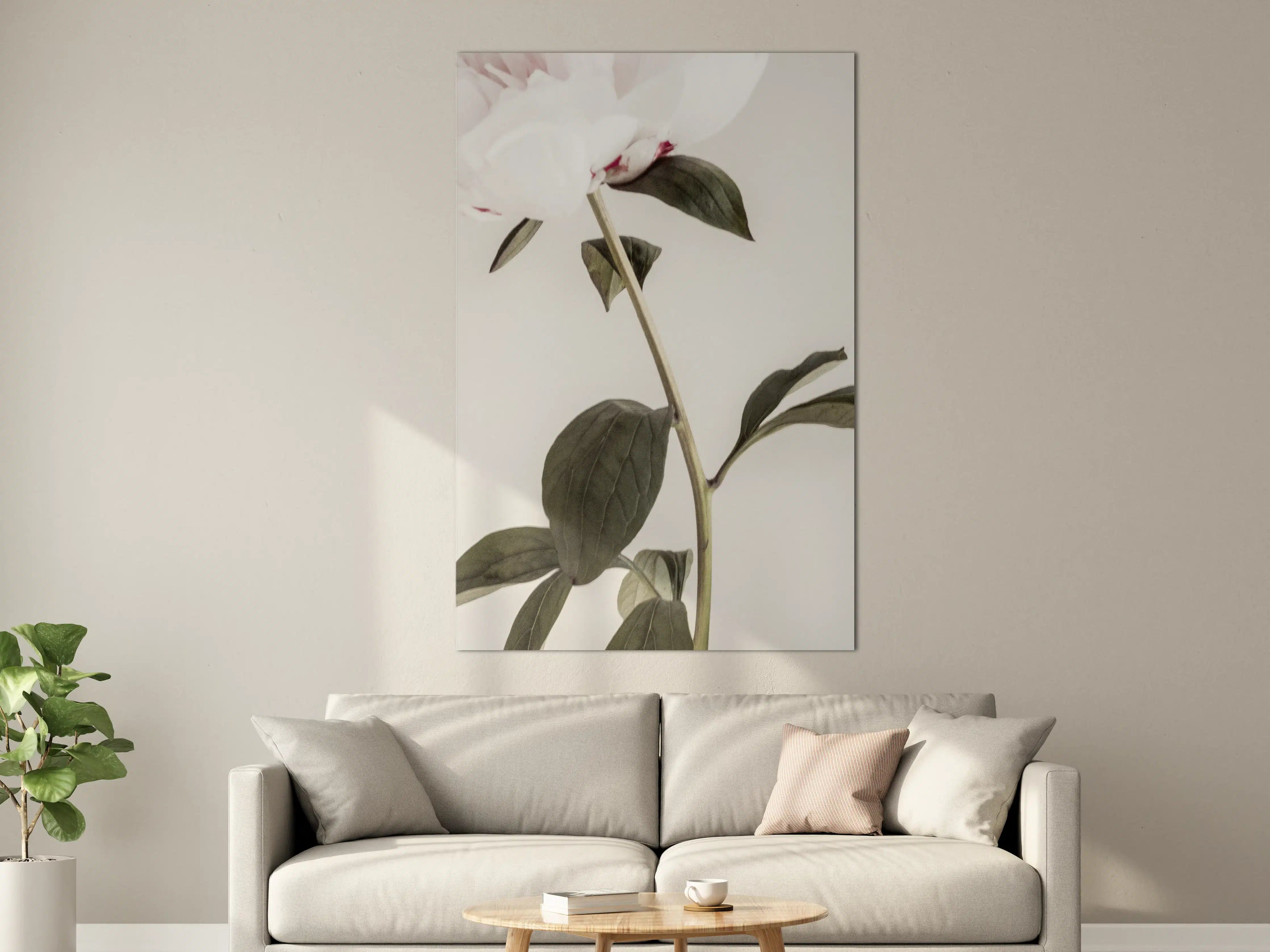 Große Wandbilder - Rosa Pfingstrose - Nahaufnahme