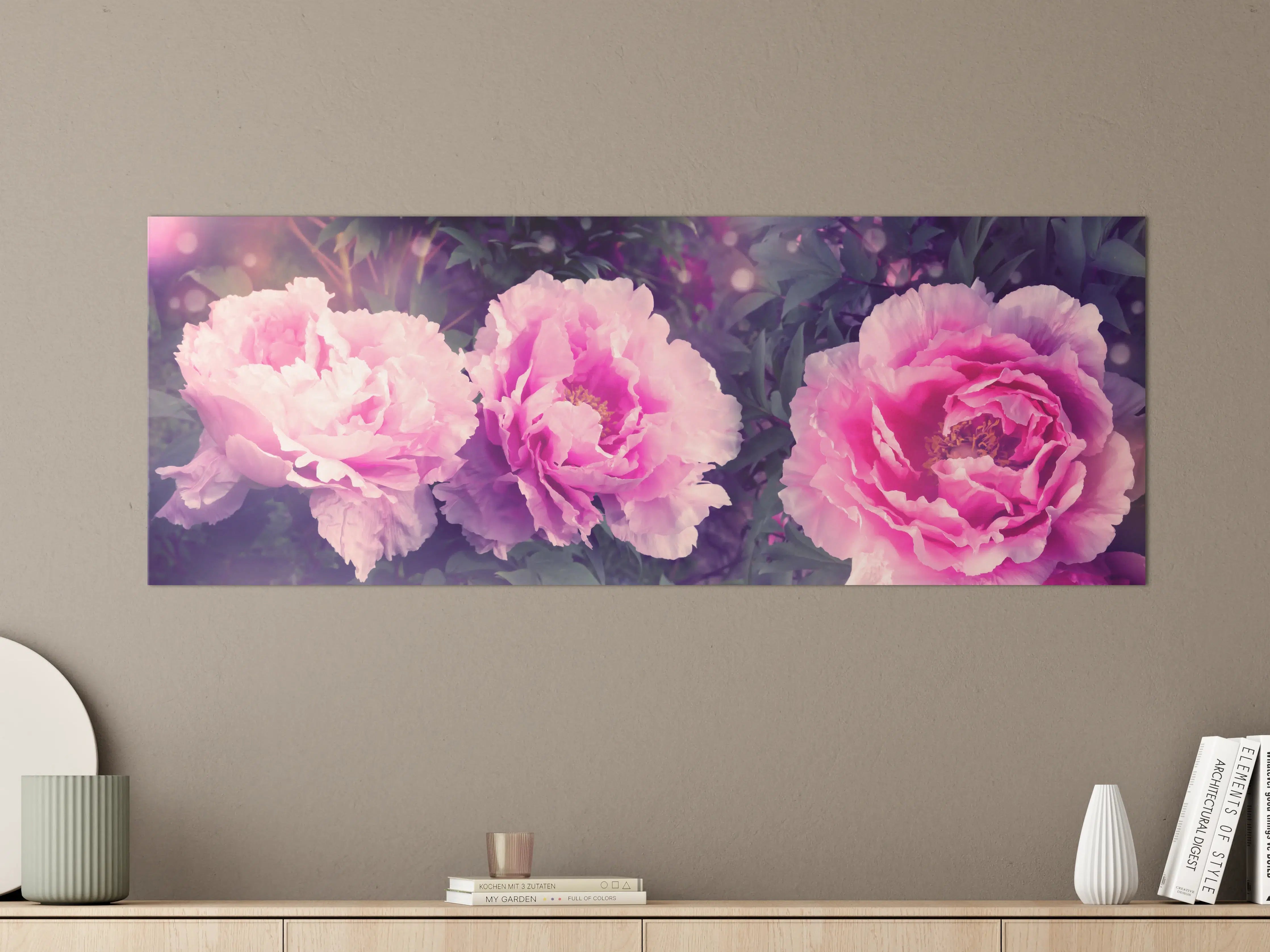 Große Wandbilder - Rosa-Weiße Pfingstrosen
