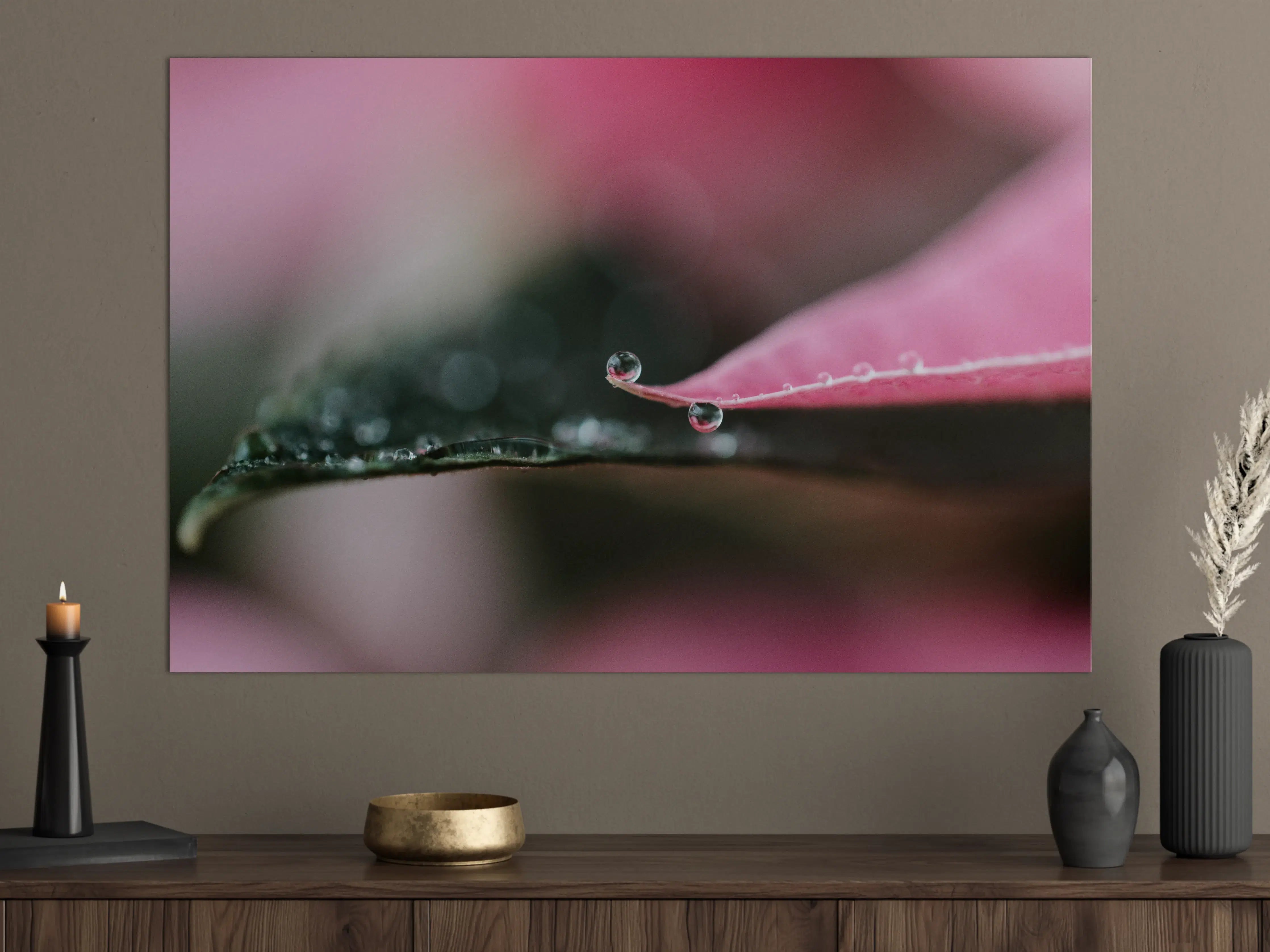 Große Wandbilder - Rosenblatt mit Wassertropfen in Nahaufnahme